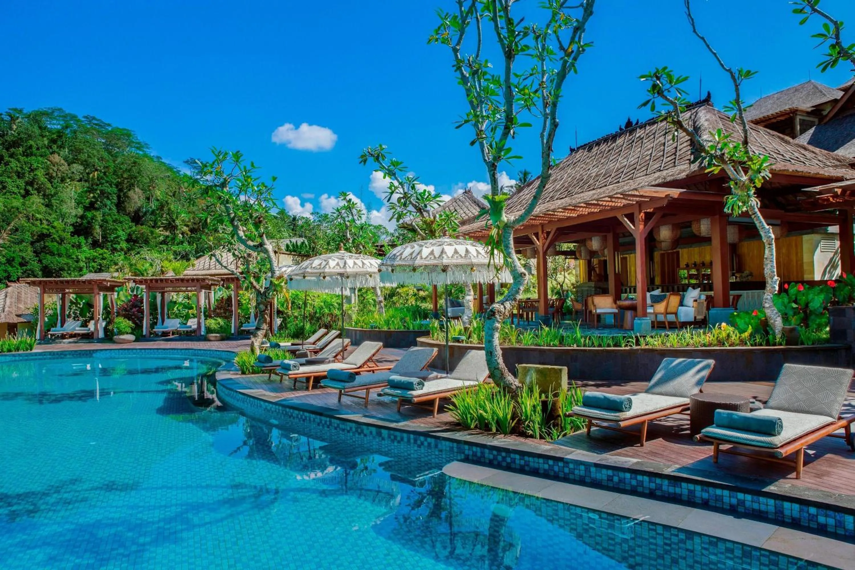 Swimming pool in Mandapa, a Ritz-Carlton Reserve