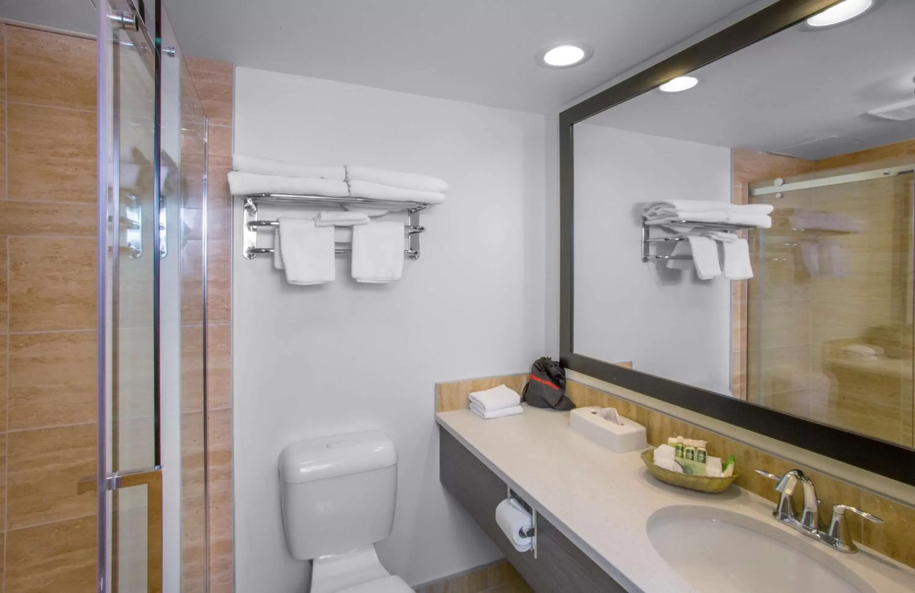 Shower in Jasper Inn & Suites by INNhotels