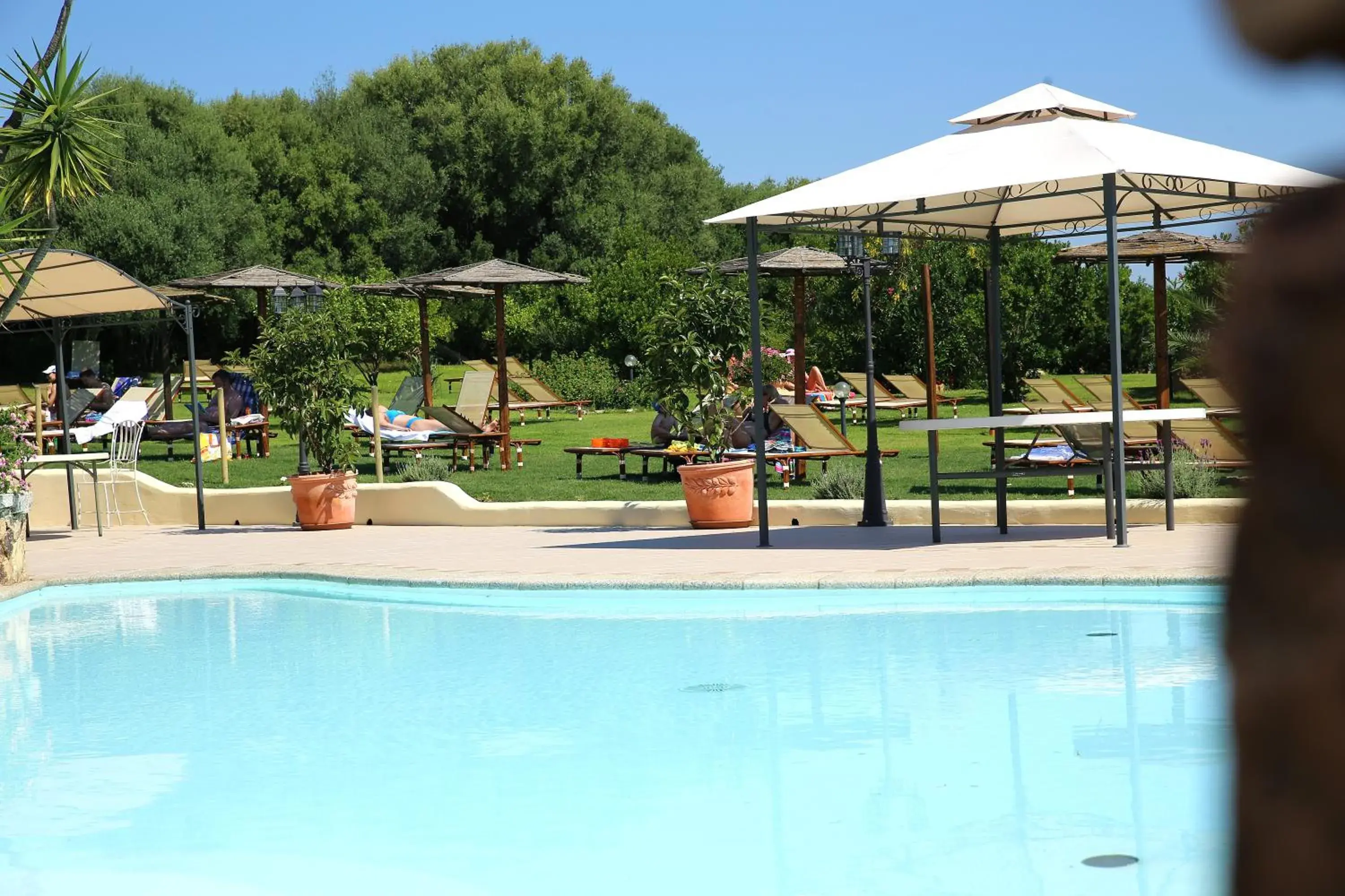 Swimming Pool in Hotel Speraesole