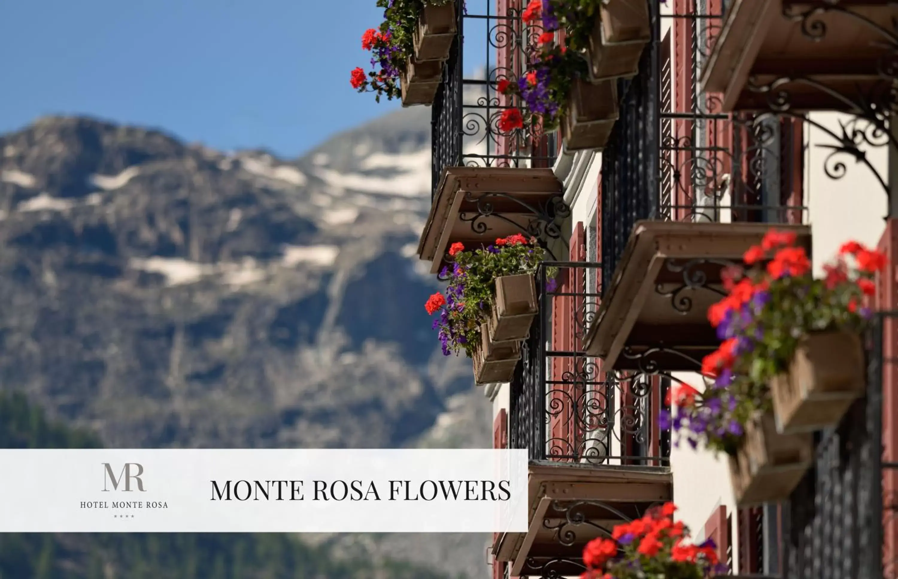 Facade/entrance, Neighborhood in Monte Rosa Boutique Hotel