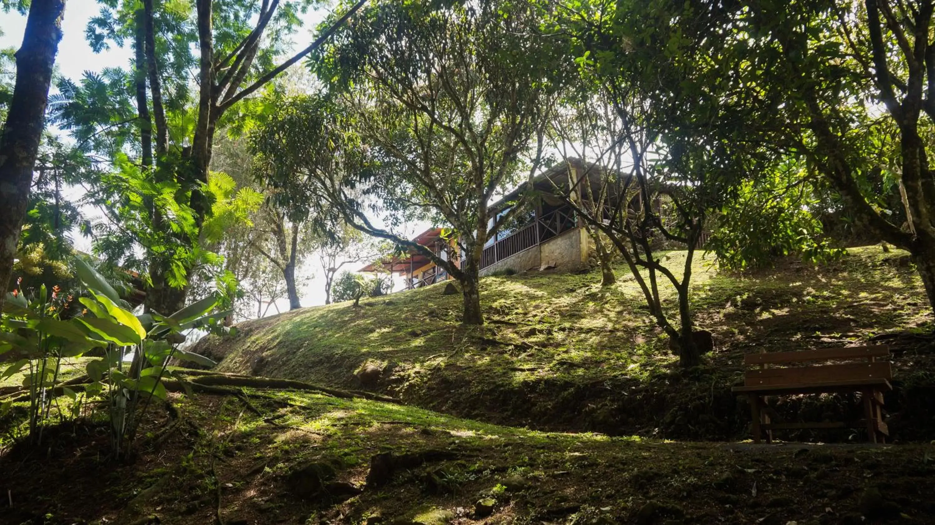 Garden in Hospedaje La Naciente