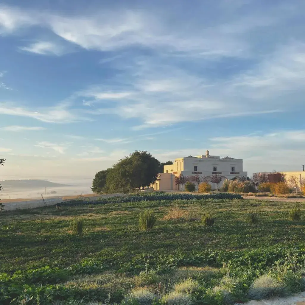 Landmark view in Masseria Fontana di Vite