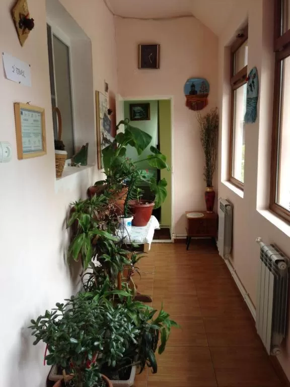 IRIS B&B in DEBED CANYON