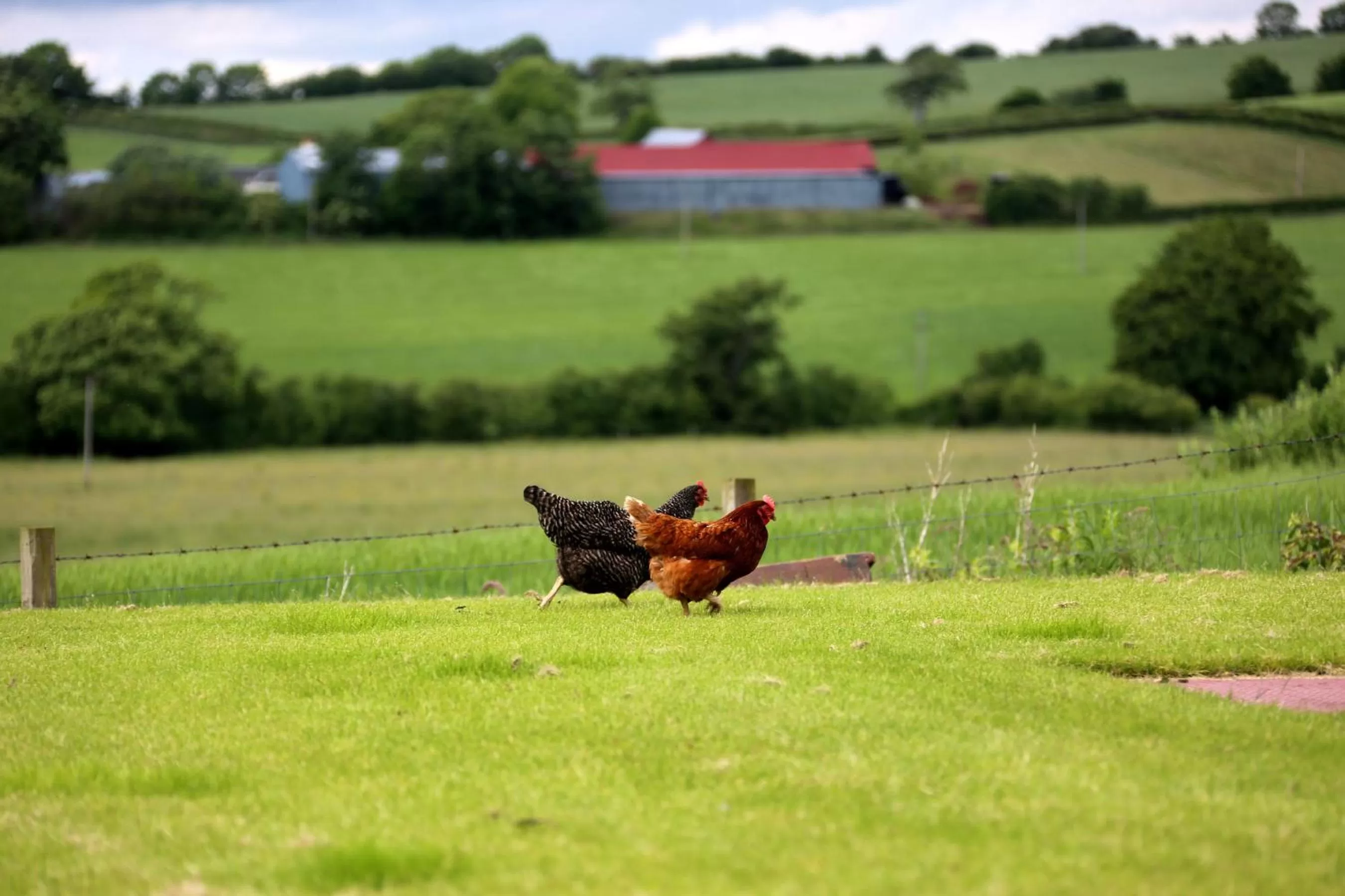 Other in Crofthead Farm House