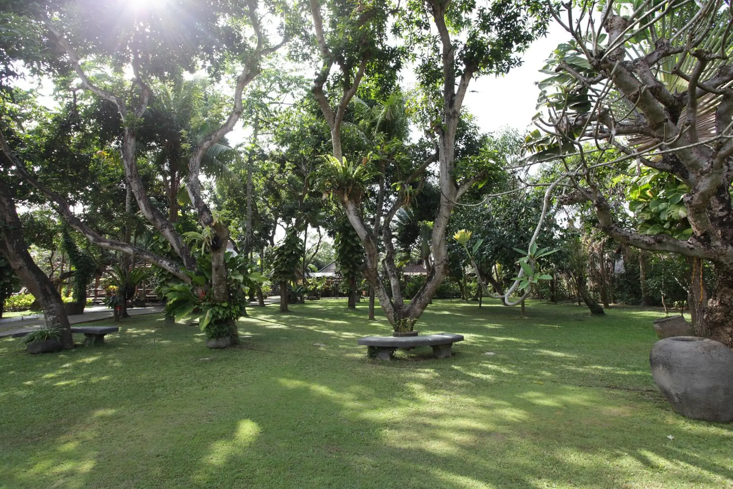 Garden in Matahari Bungalow Hotel