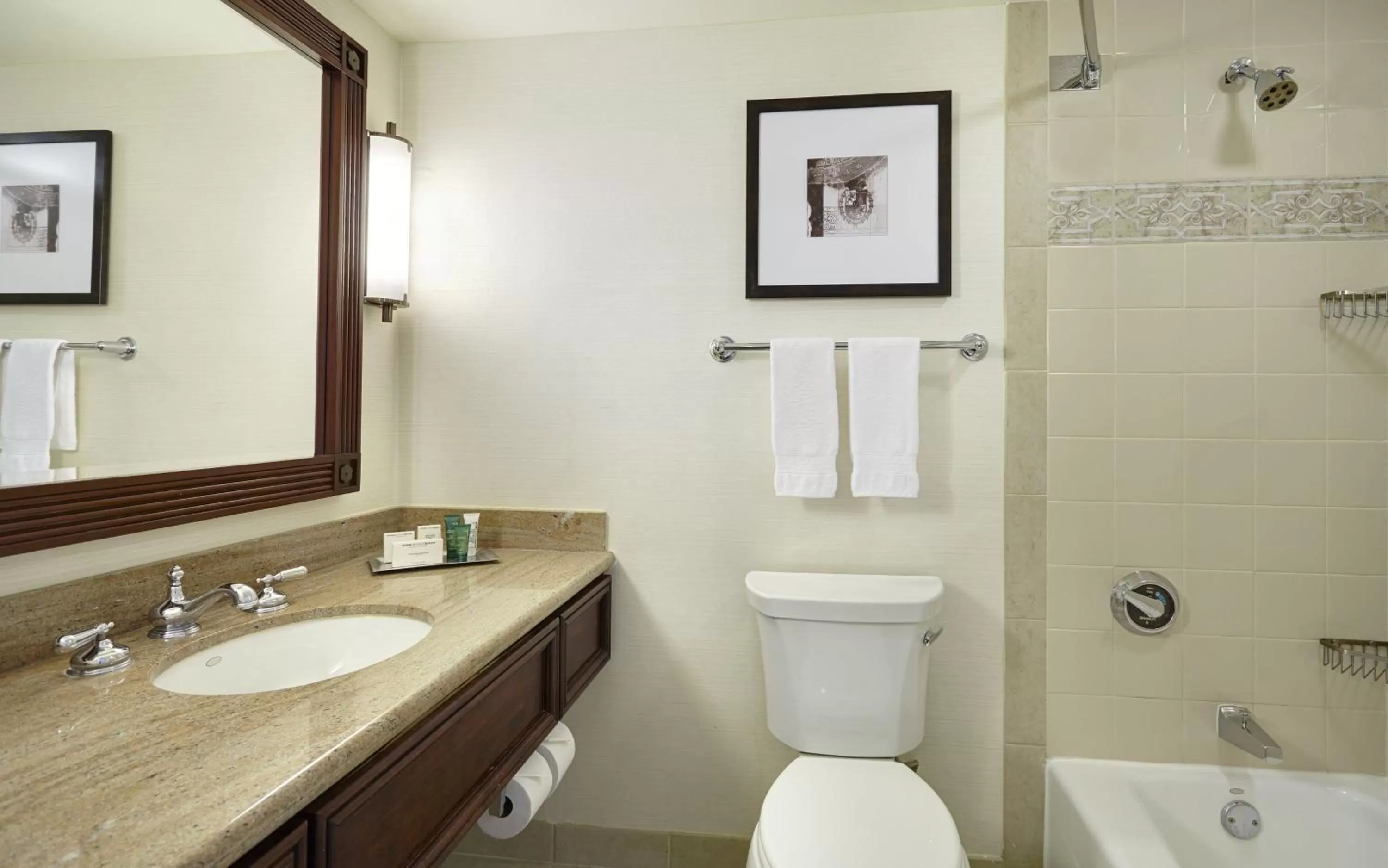 Bathroom in Hilton New Orleans Riverside