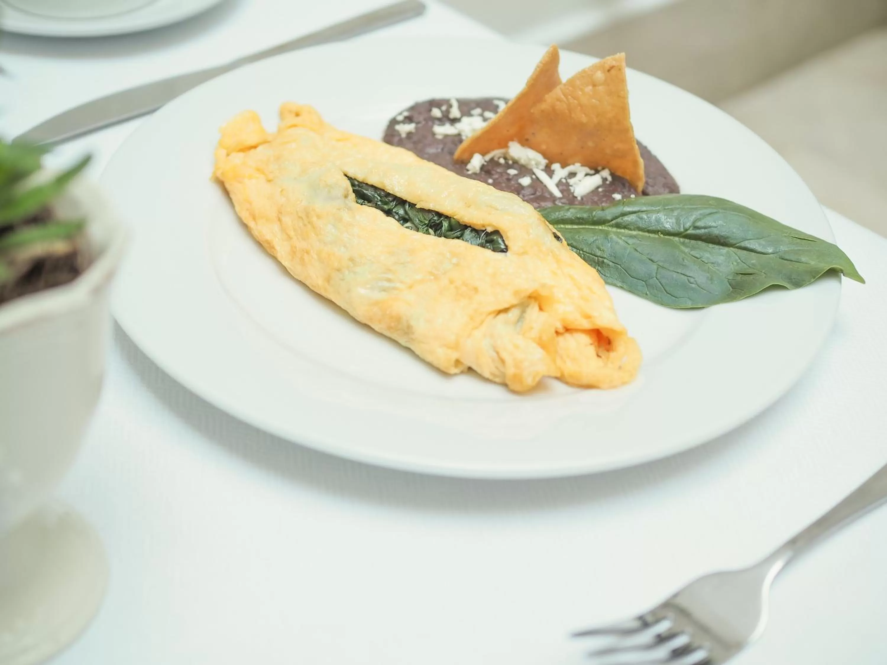 Food and drinks in Hotel Marbella