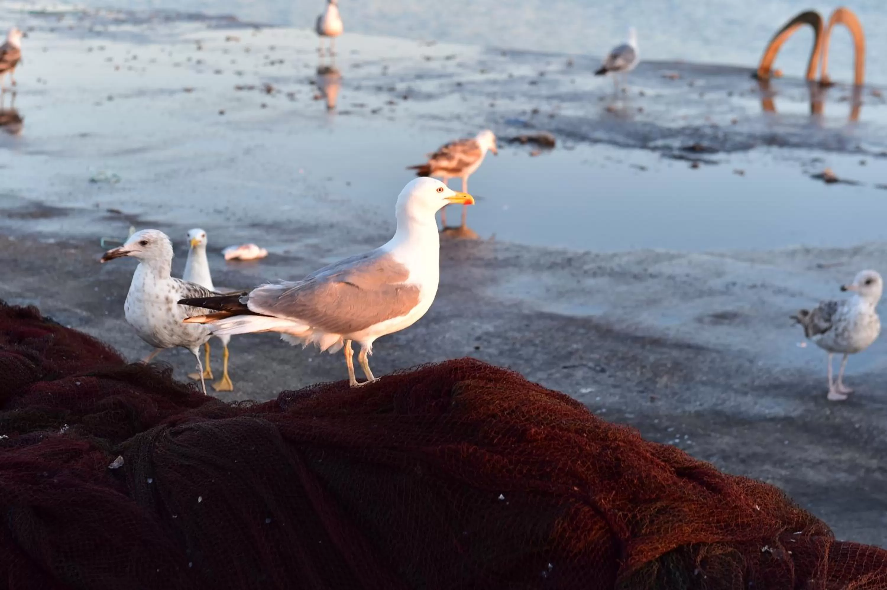 Natural landscape in Mercearia D'Alegria Boutique B&B