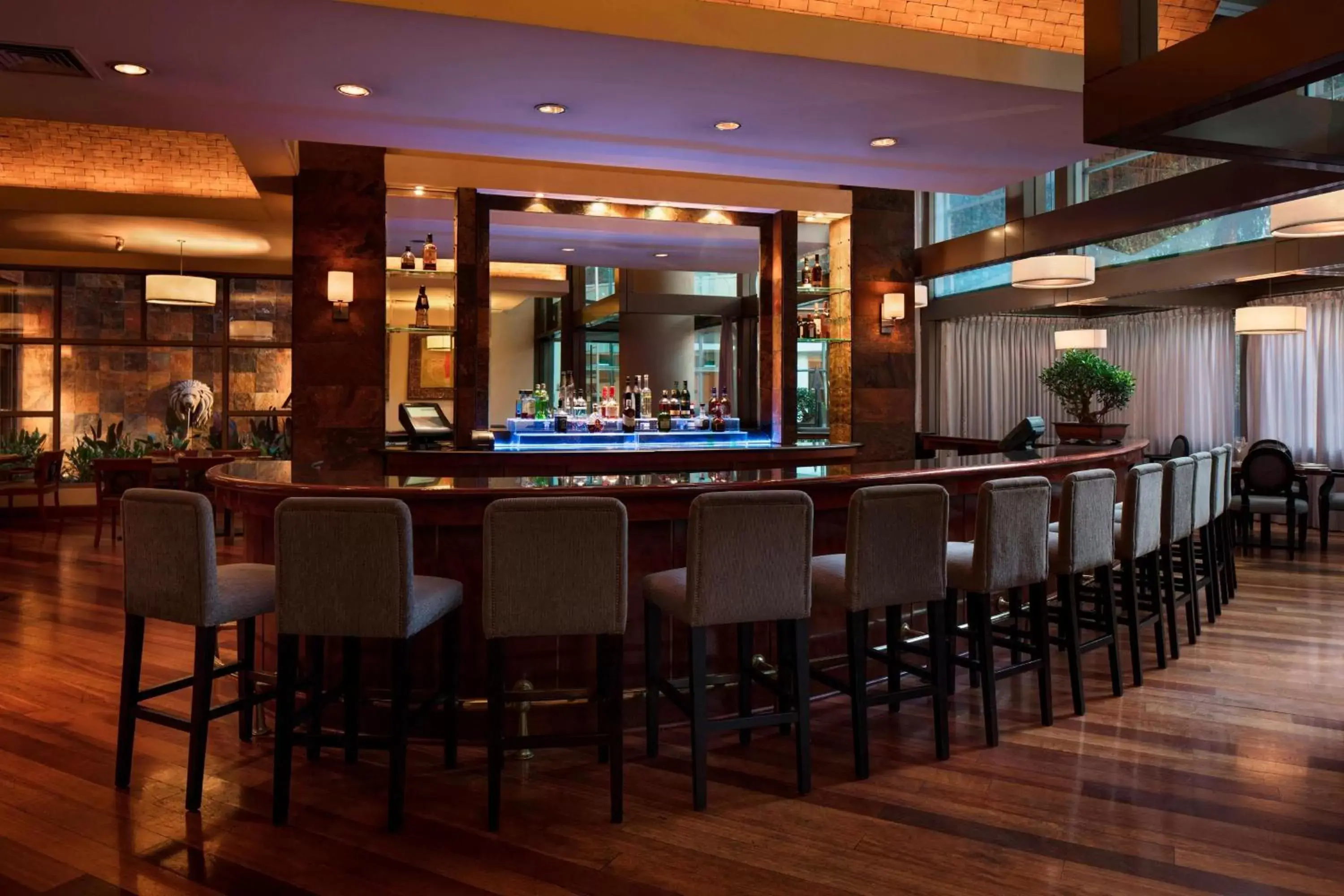 Restaurant/places to eat, Lounge/Bar in Santiago Marriott Hotel
