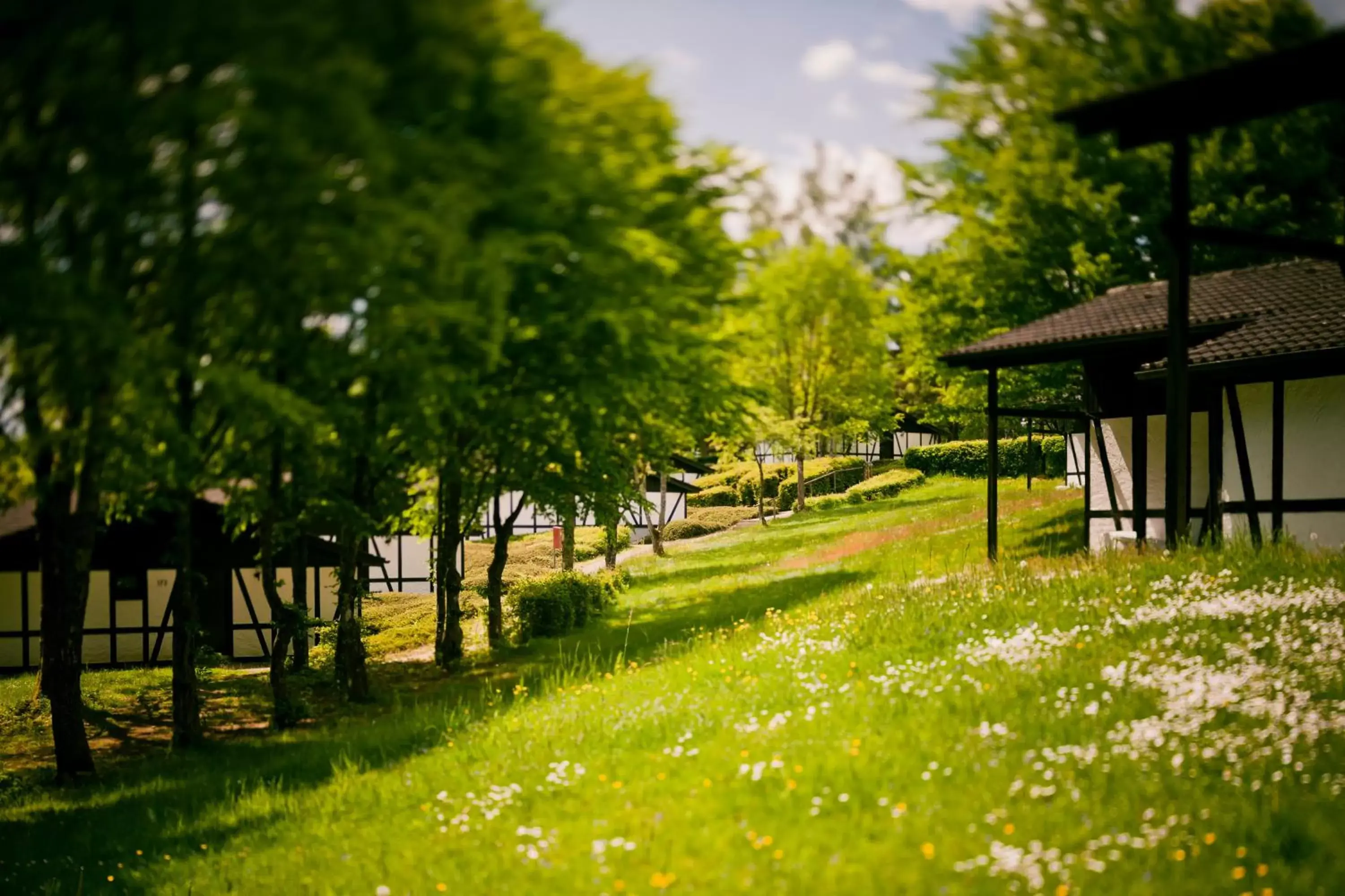 Garden in Sporthotel Grafenwald