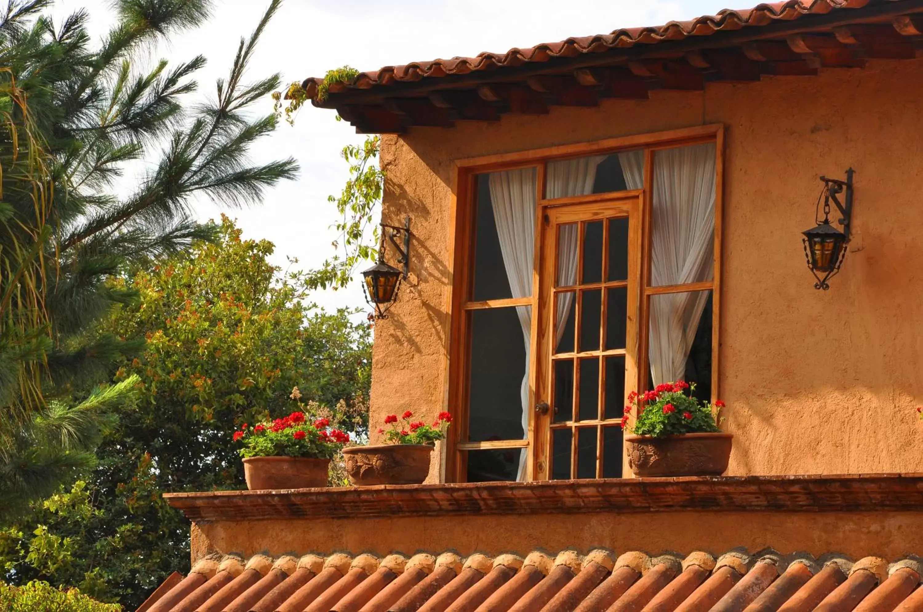 Balcony/Terrace in Eco Hotel Ixhi