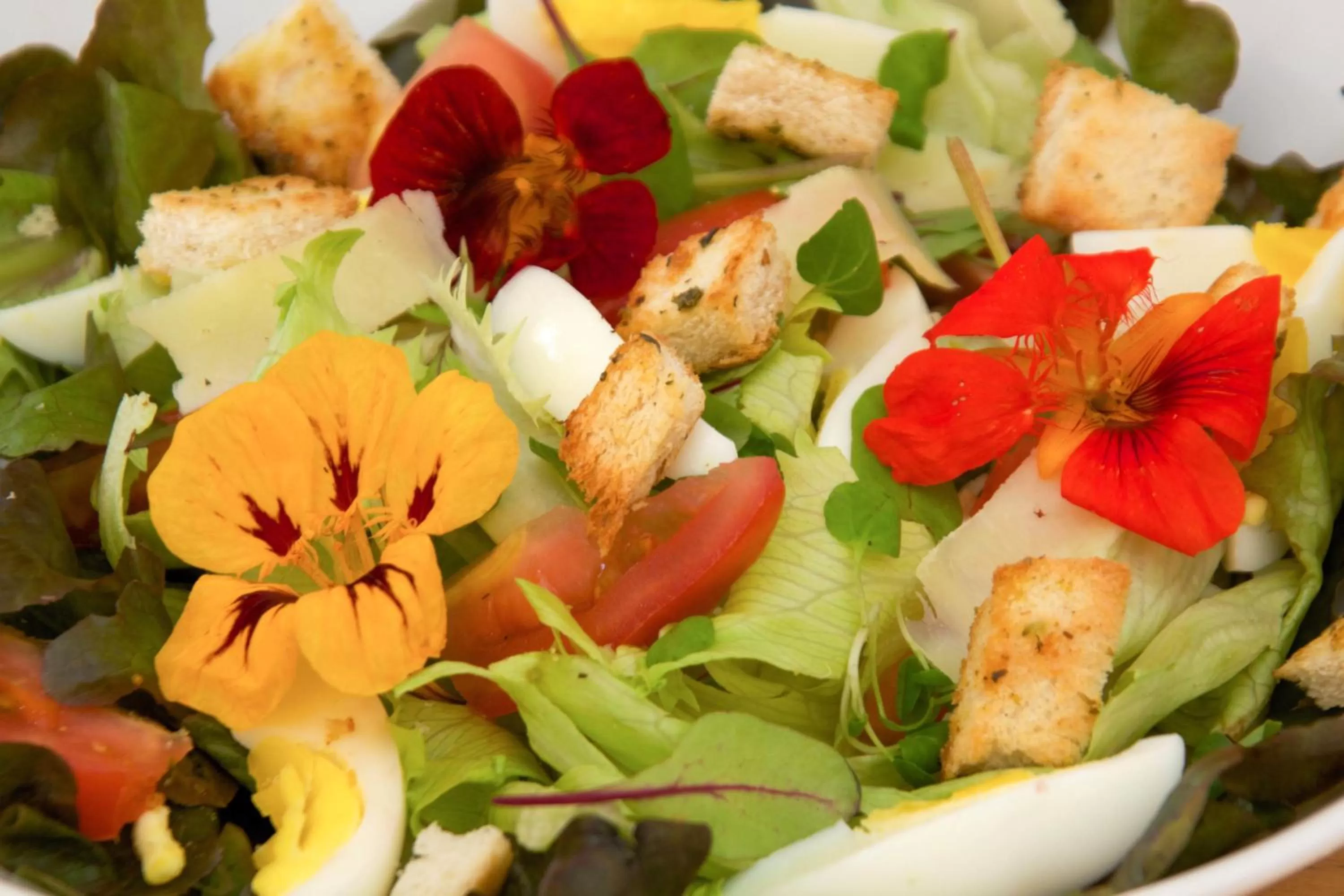 Meals in Bristol Upper Curitiba Alto da XV