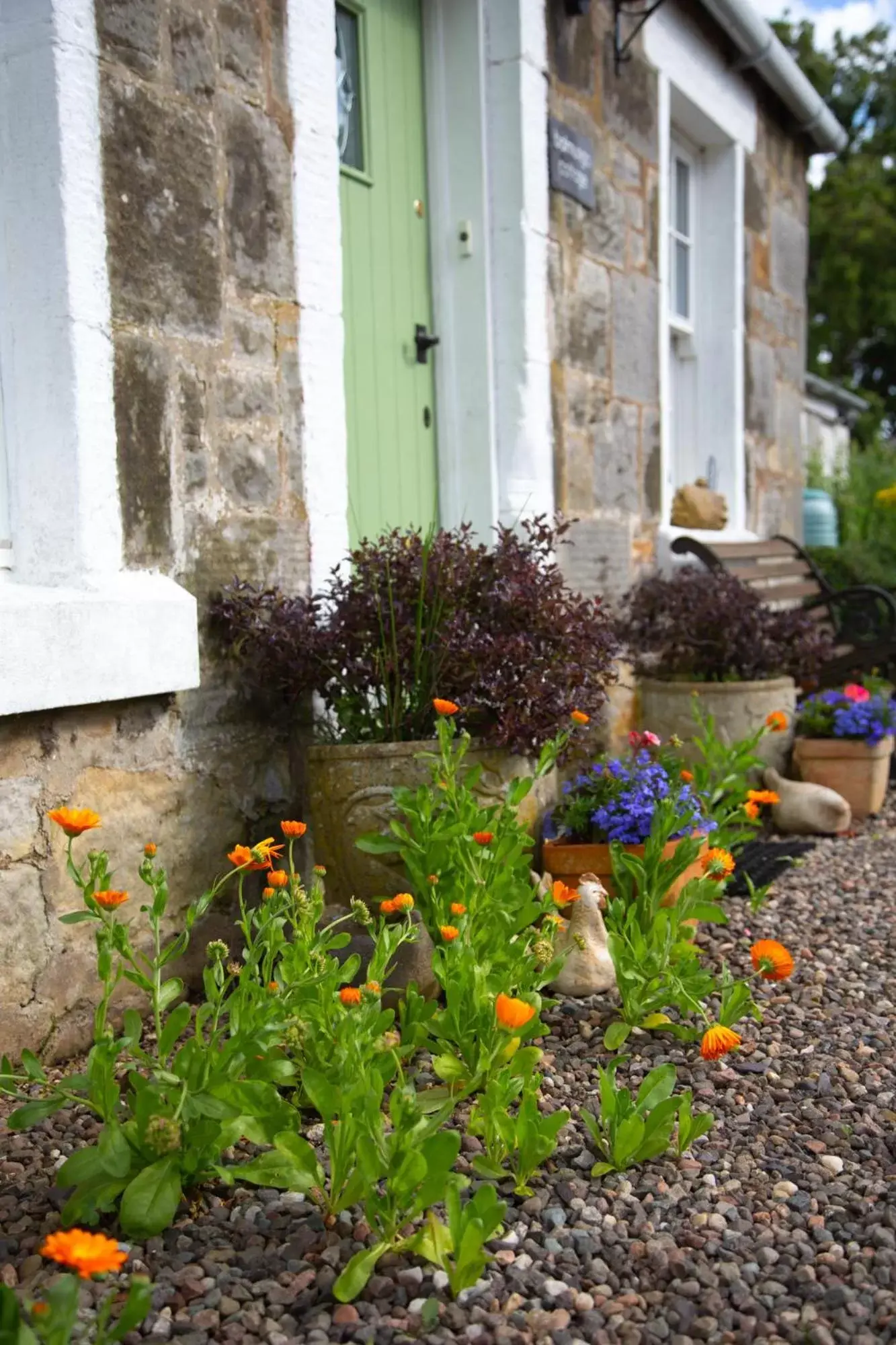 Garden in Balmungo Cottage B&B