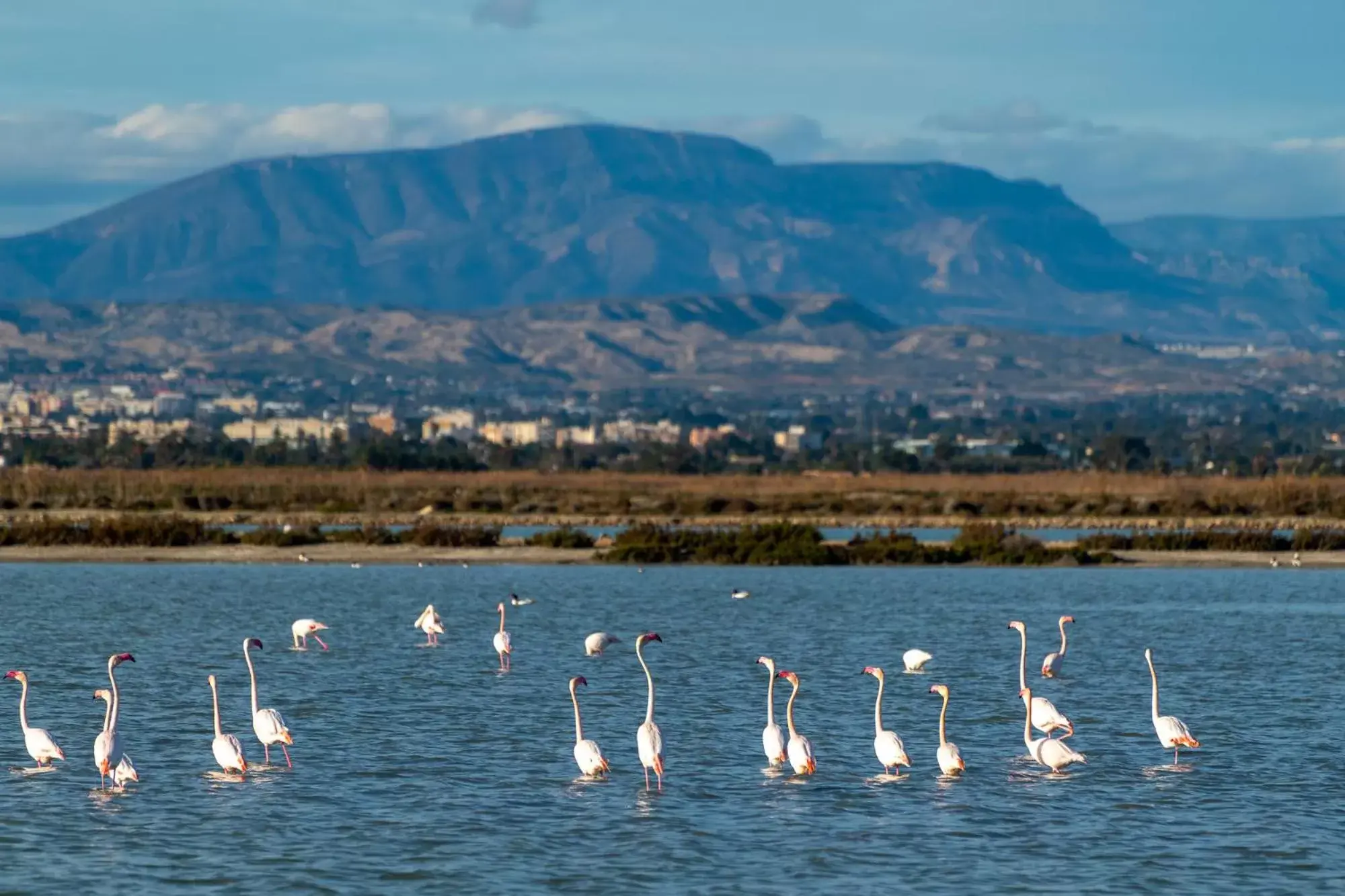 Natural landscape in Santa Pola Apartments