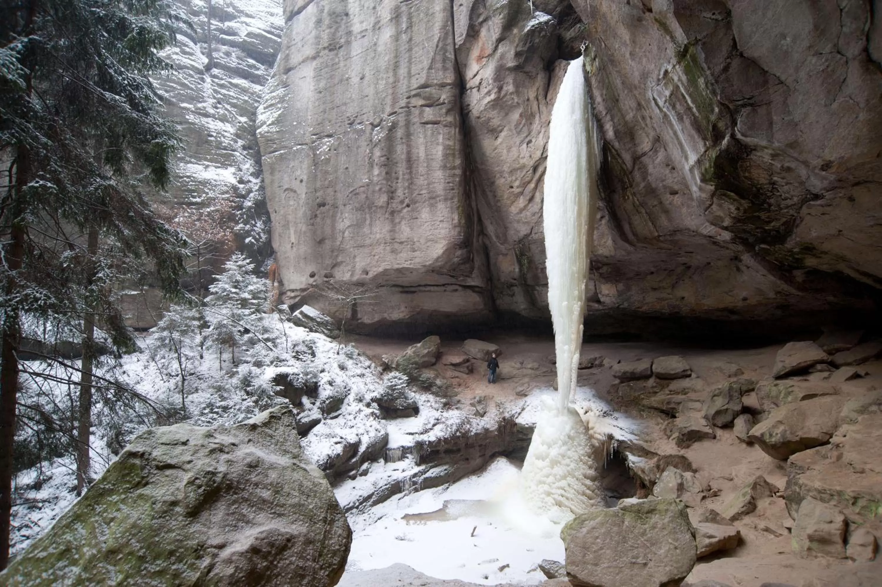 Natural landscape in QUARTIER 5 Hotel & Restaurant, Sächsische Schweiz