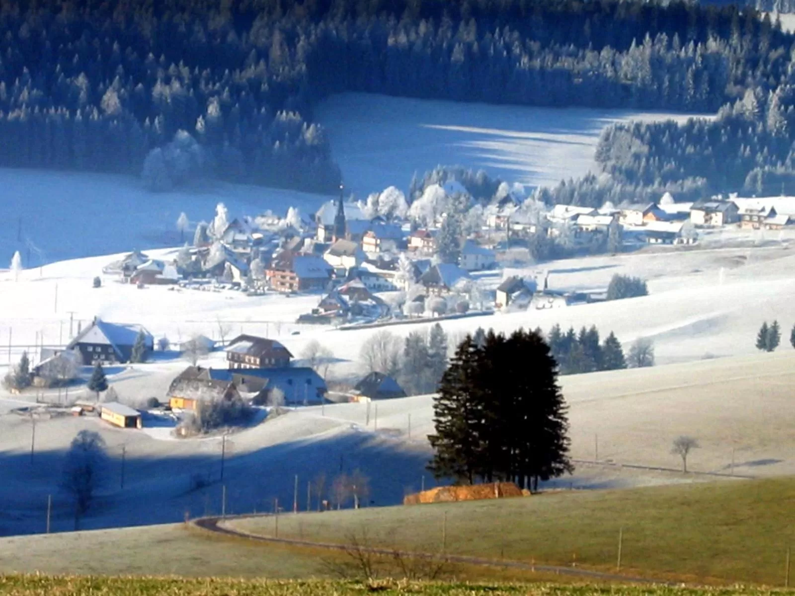 Natural landscape in ZUR TRAUBE Schwarzwaldhotel & Restaurant am Titisee
