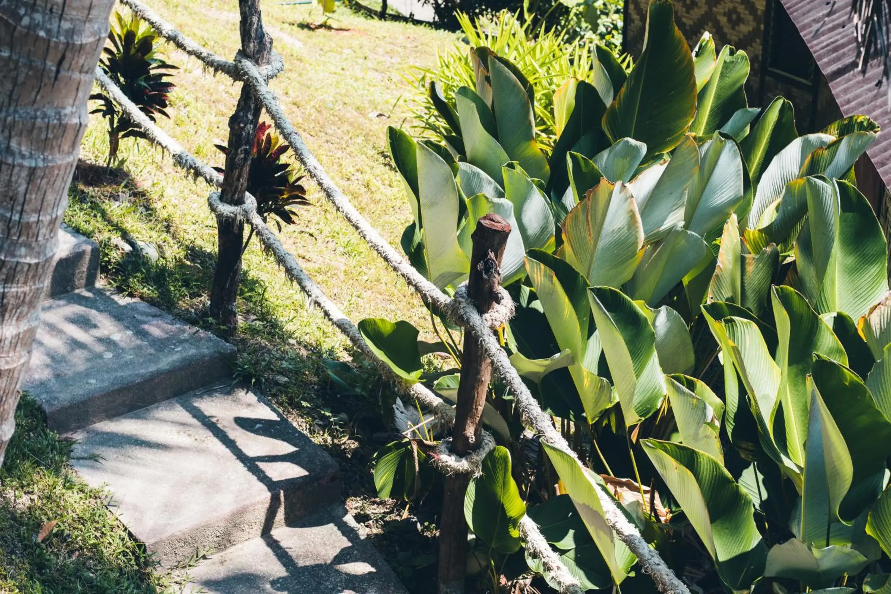 Garden in Railay Garden View Resort