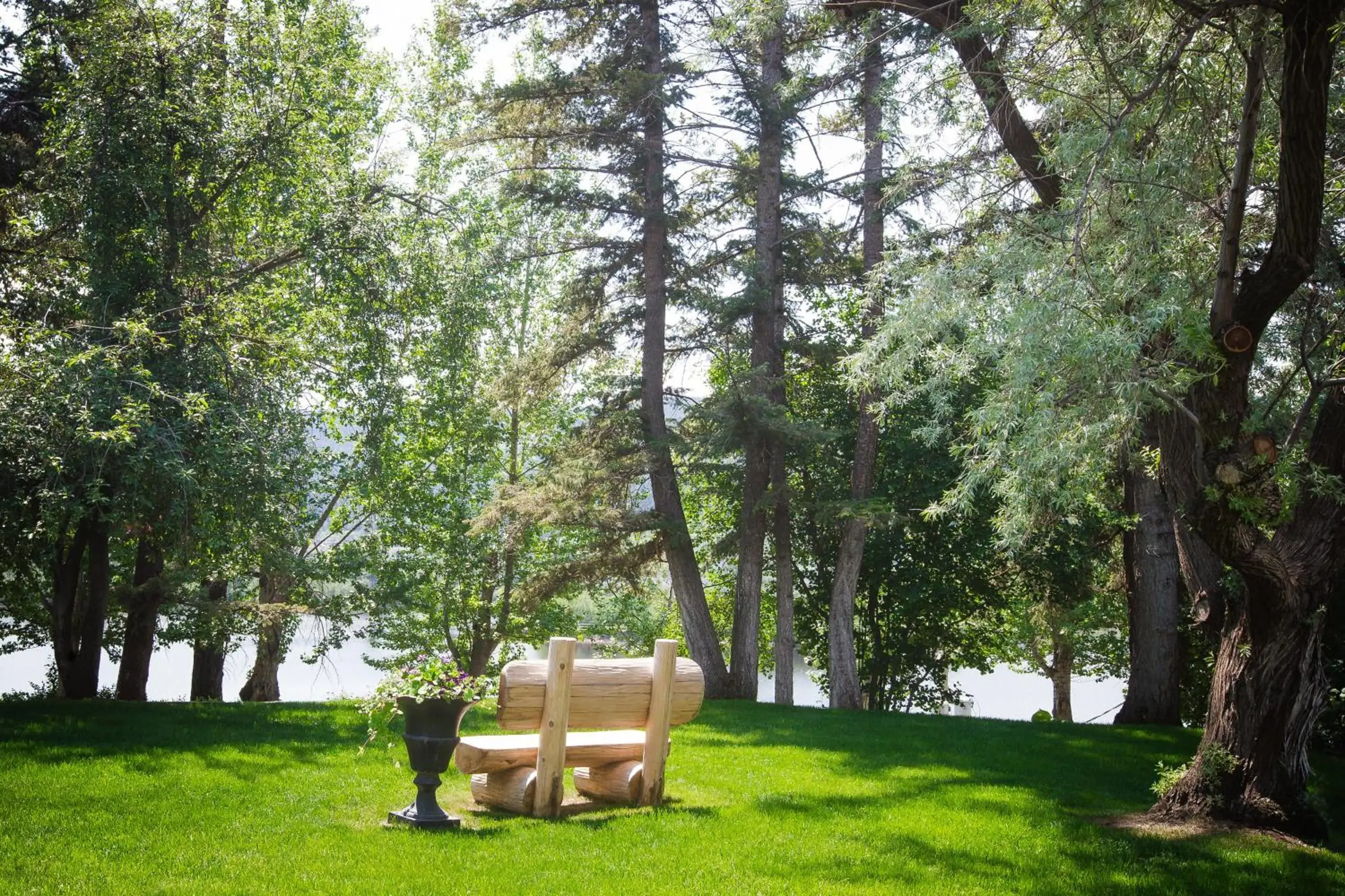 Lake view, Garden in Lakeside Motel