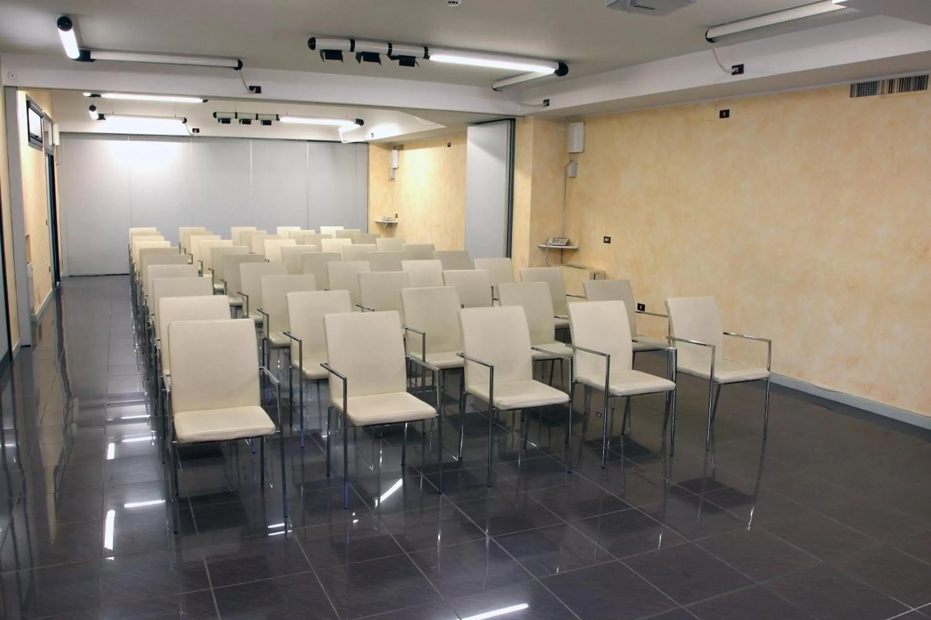 Meeting/conference room in Hotel Maxim