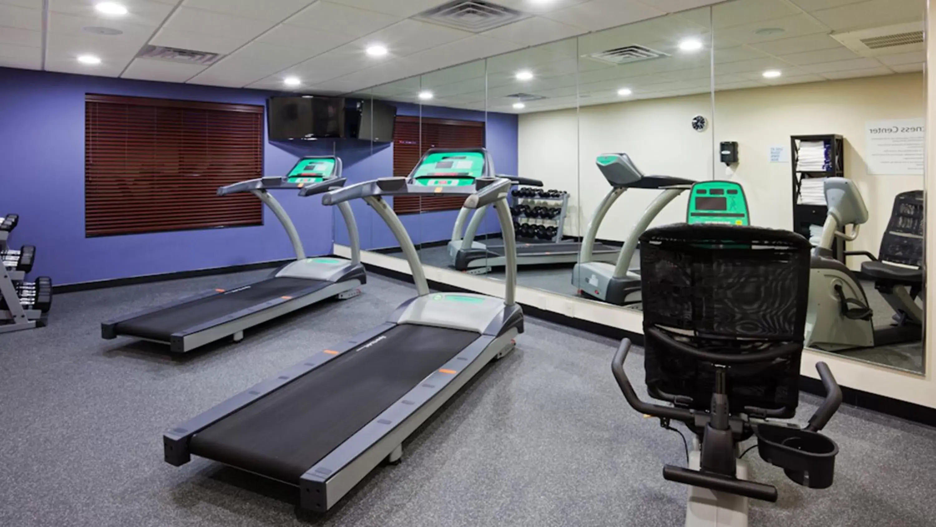 Fitness centre/facilities, Fitness Center/Facilities in Holiday Inn Express and Suites Rochester West-Medical Center, an IHG Hotel