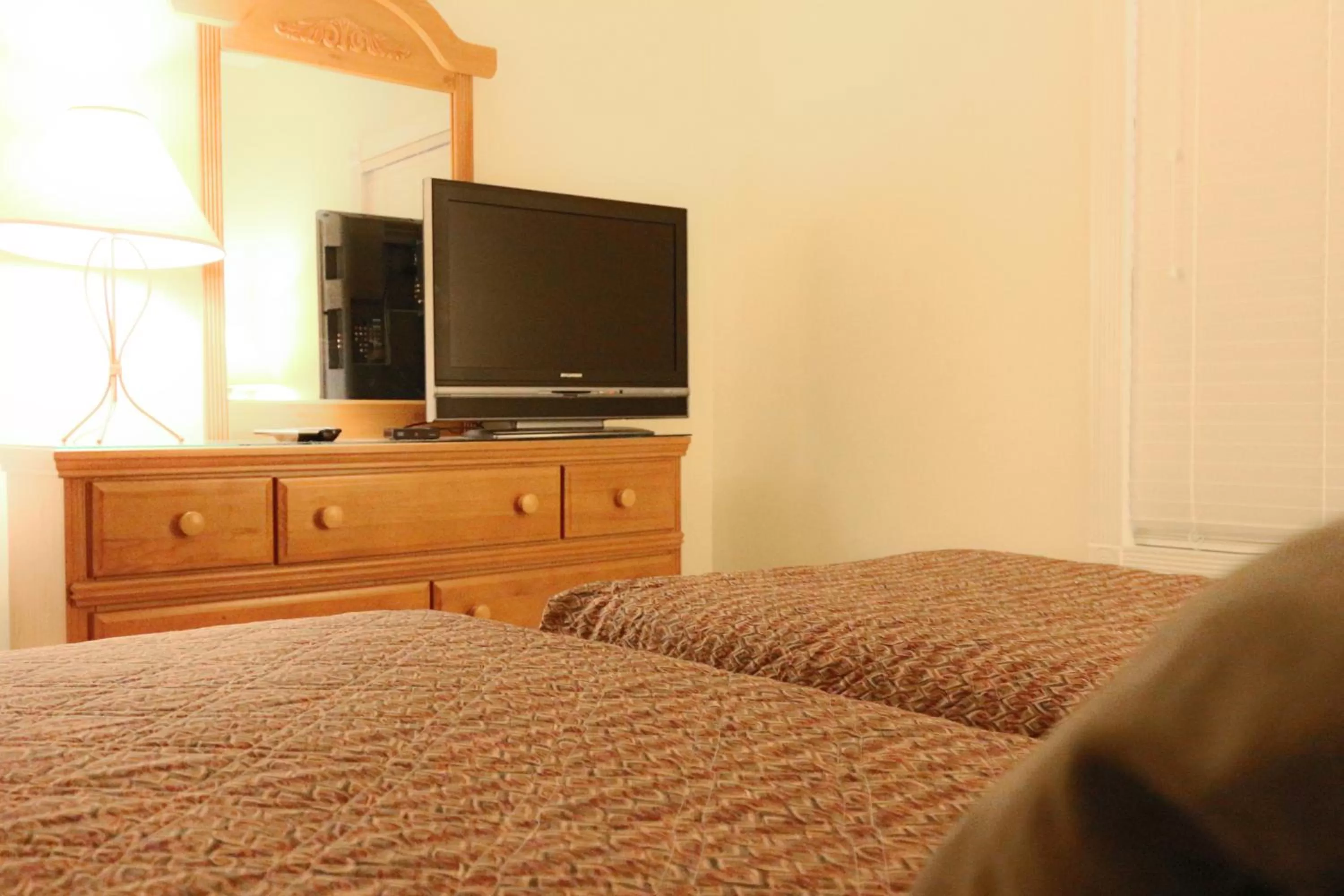 TV and multimedia in Myrtlewood Condos