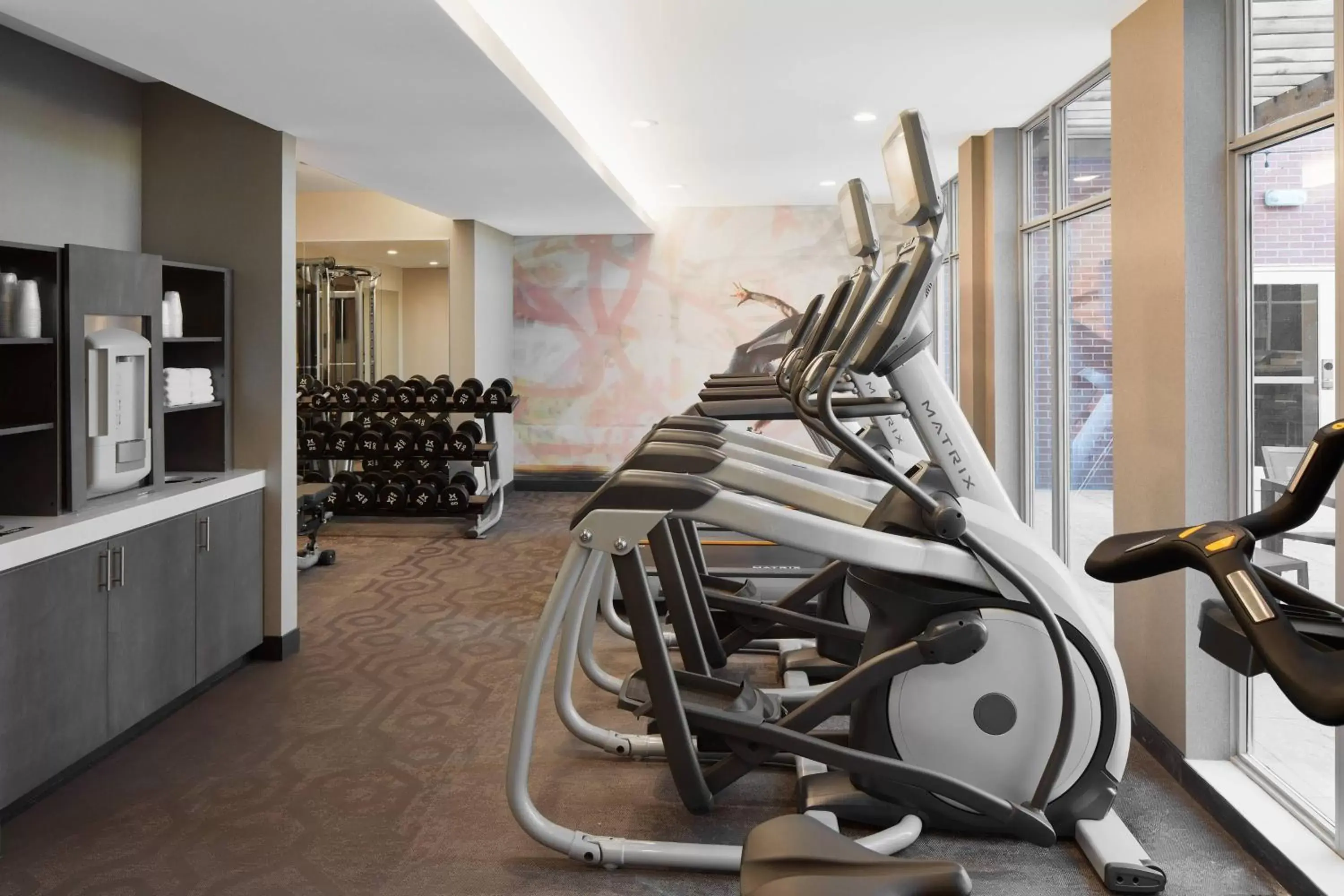 Fitness centre/facilities, Fitness Center/Facilities in Residence Inn Richmond Midtown/Glenside