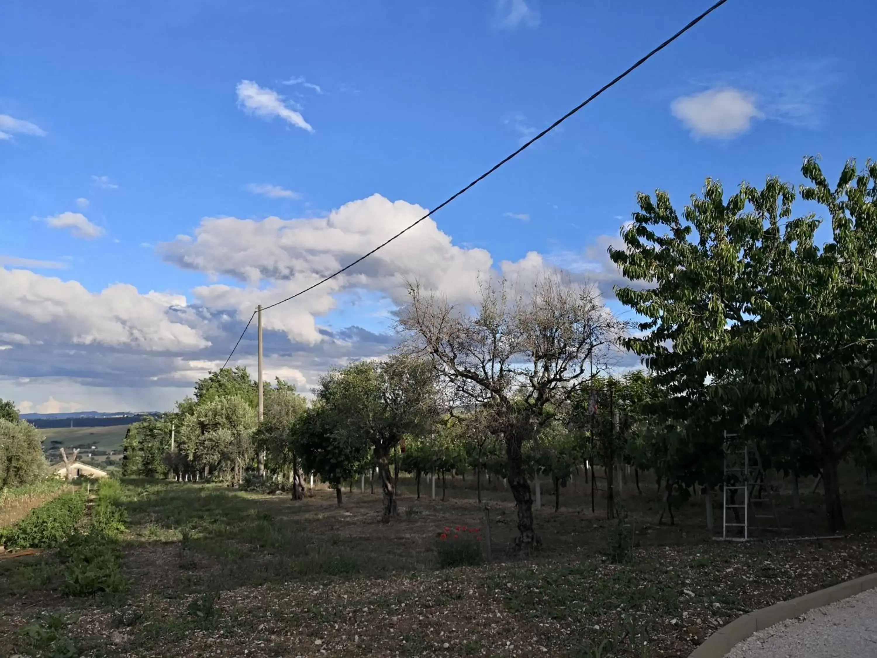 Property building in Marimà