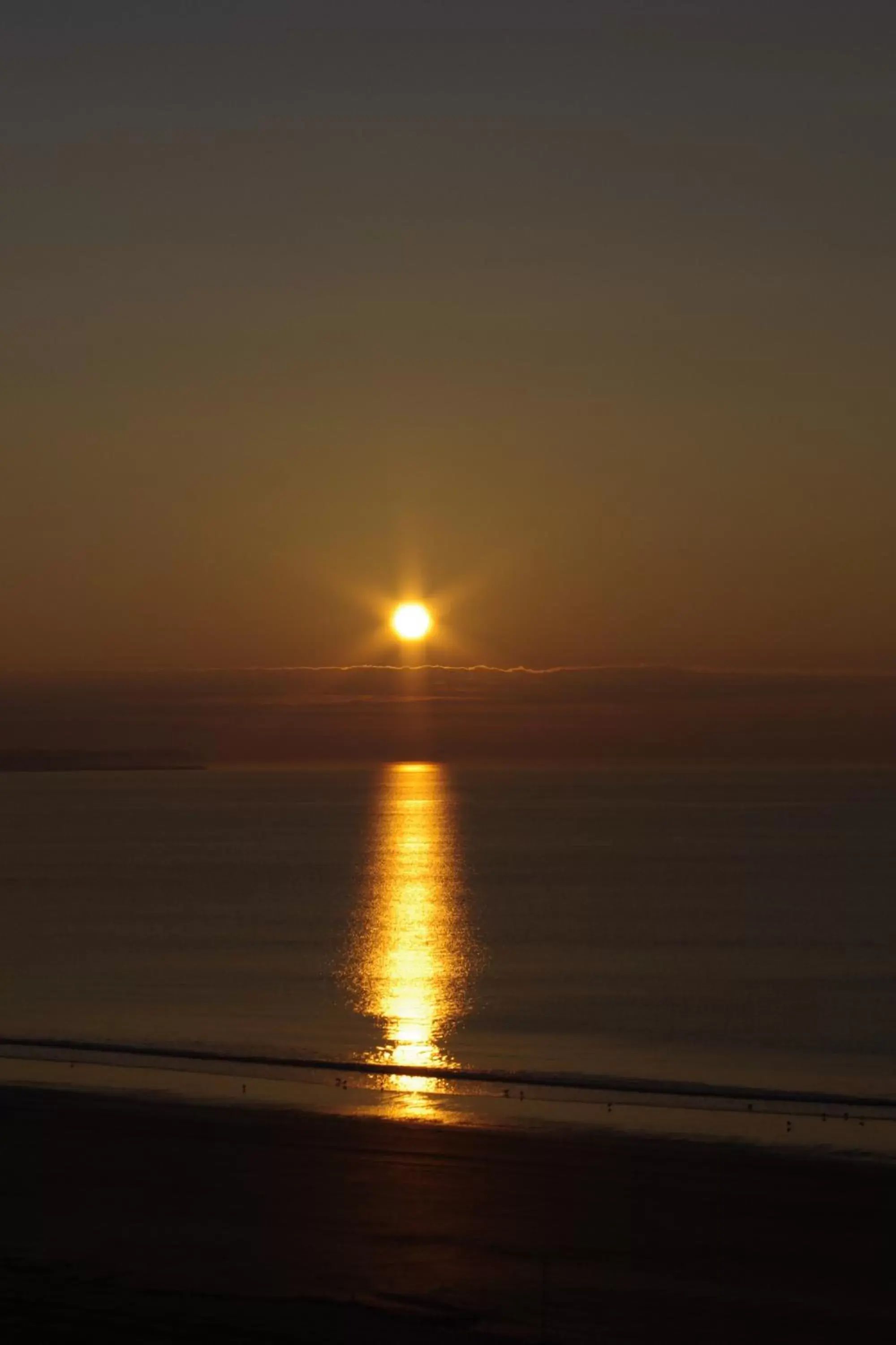 Beach in Hotel Mercure La Baule Majestic