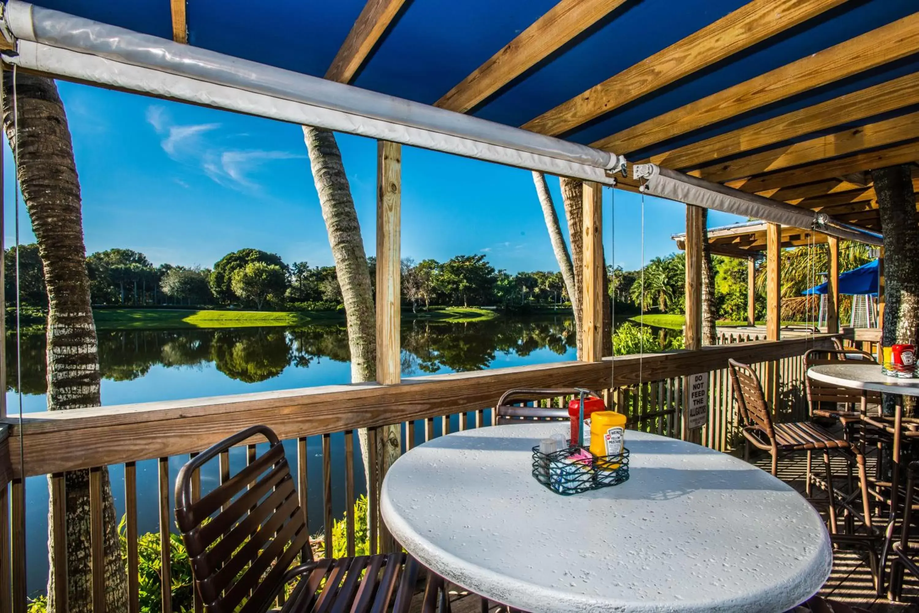 Day, Pool View in Trianon Bonita Bay Hotel