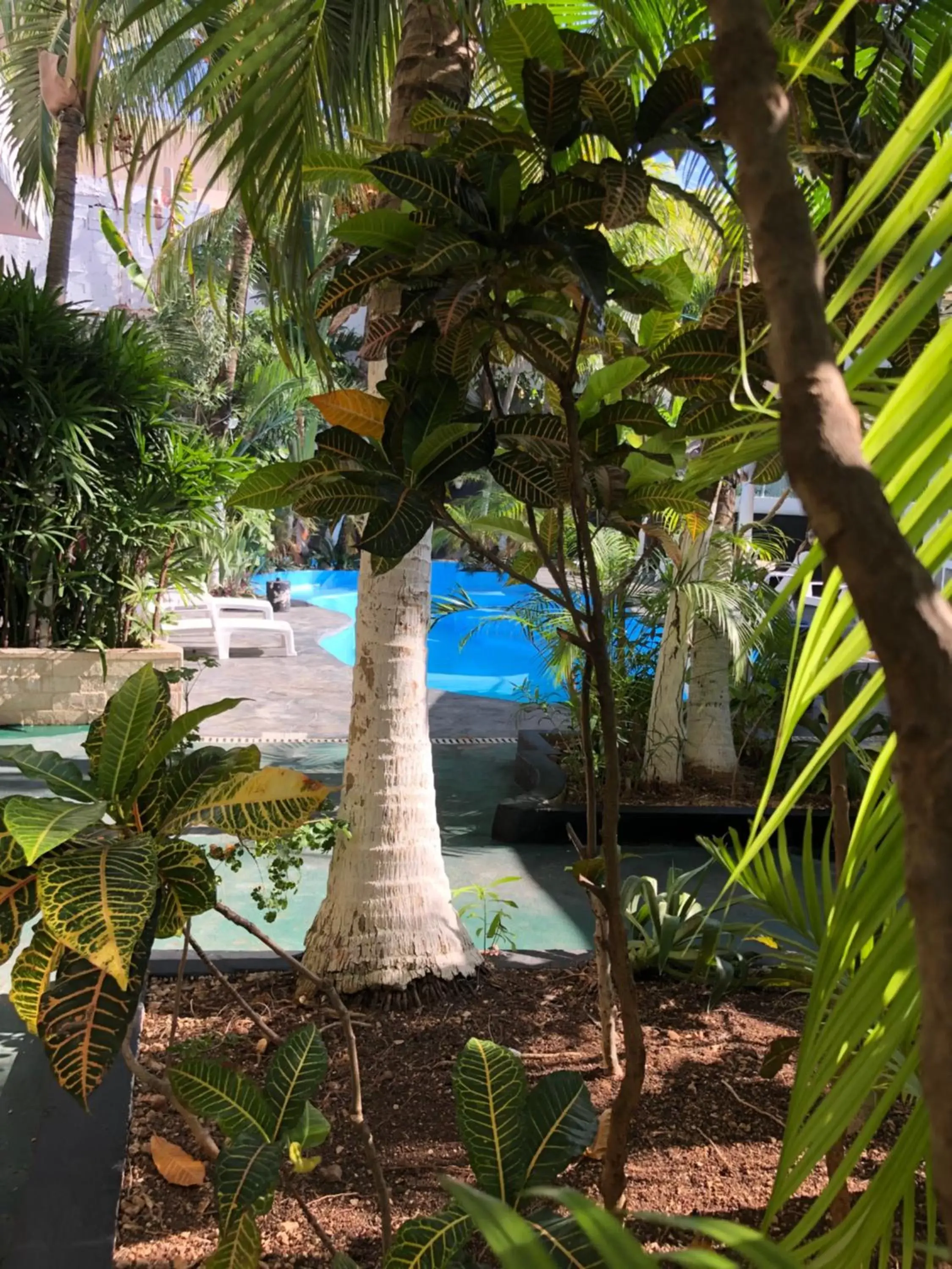 Pool view, Swimming Pool in "5TH AVENUE" Beach Energy Hotel "by BFH"