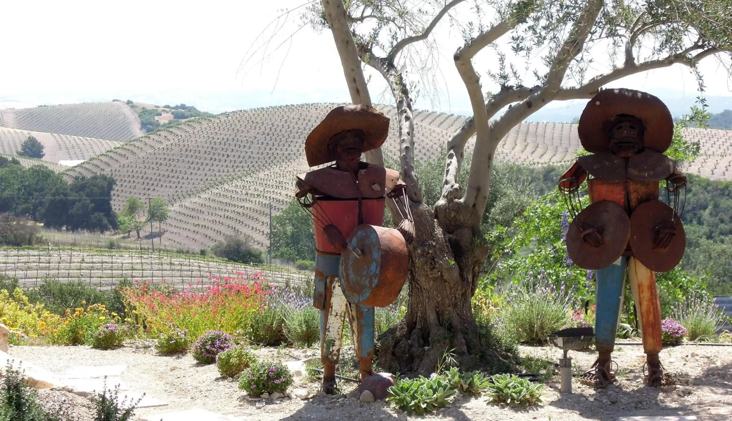 Patio, Children in Croad Vineyards - The Inn