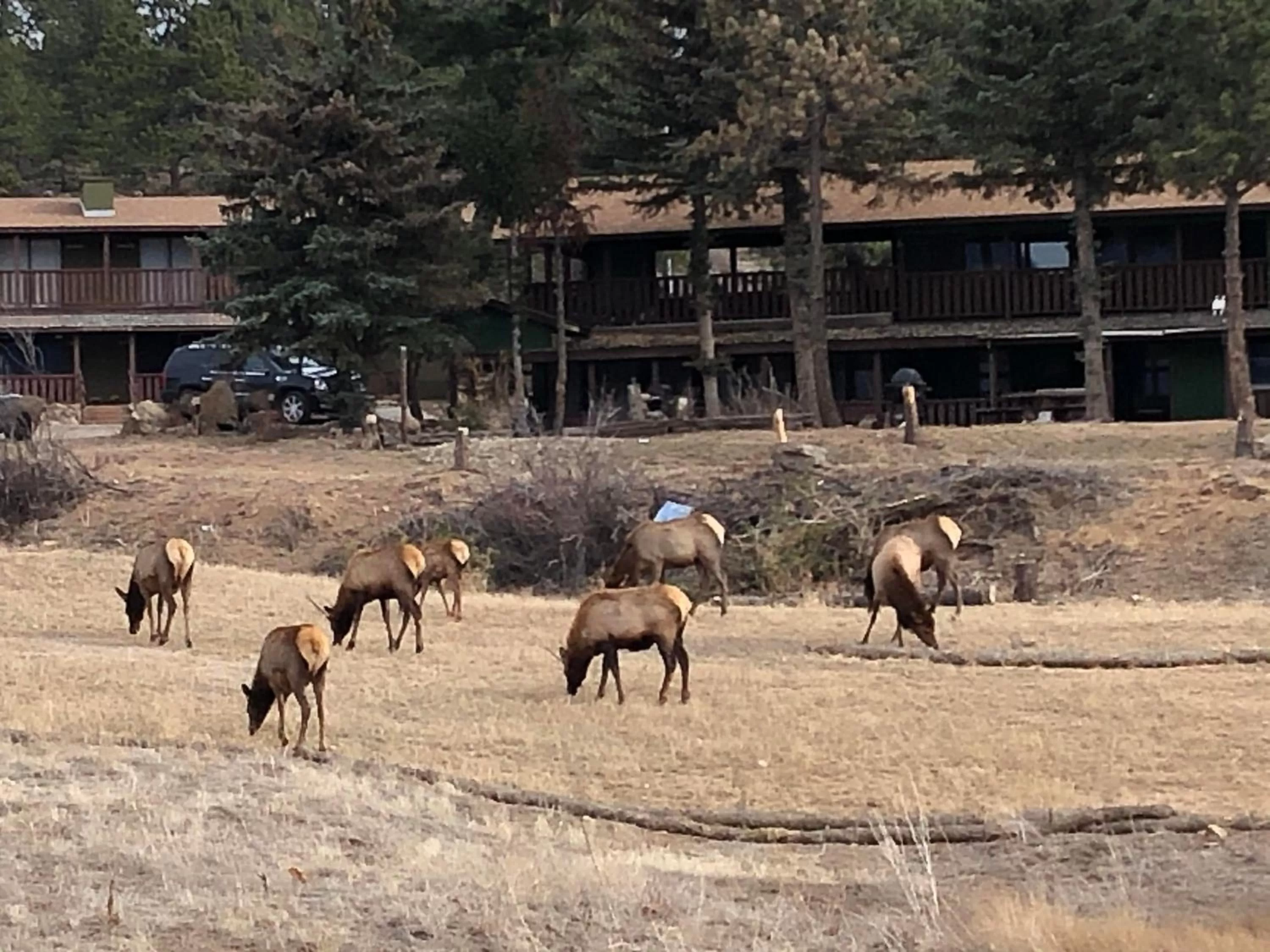 Estes Lake Lodge