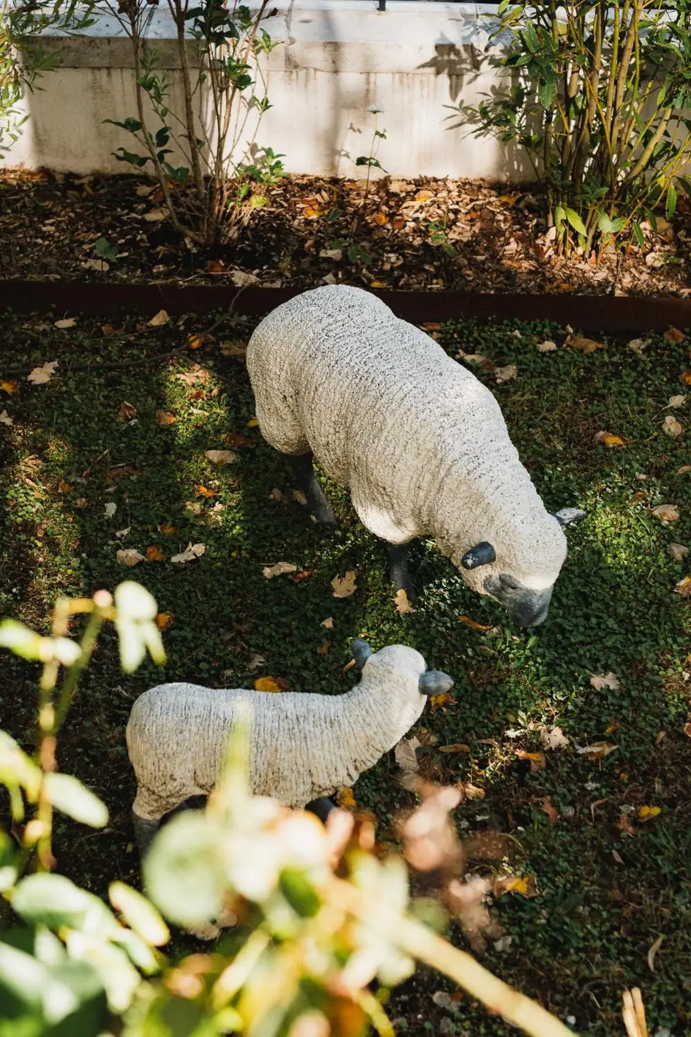 Property building, Other Animals in Hotel Edouard VII