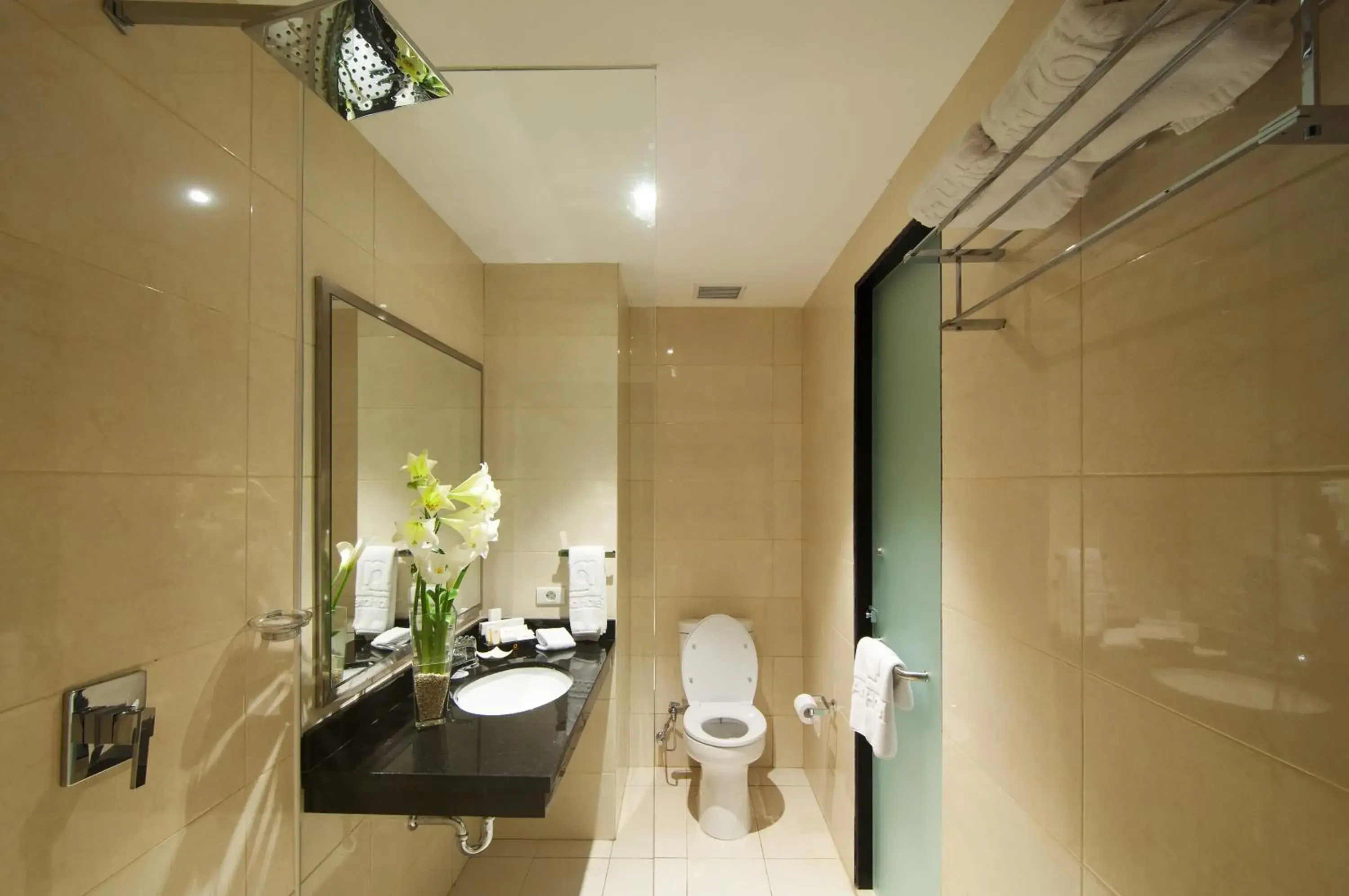 Shower, Bathroom in Aria Gajayana Hotel