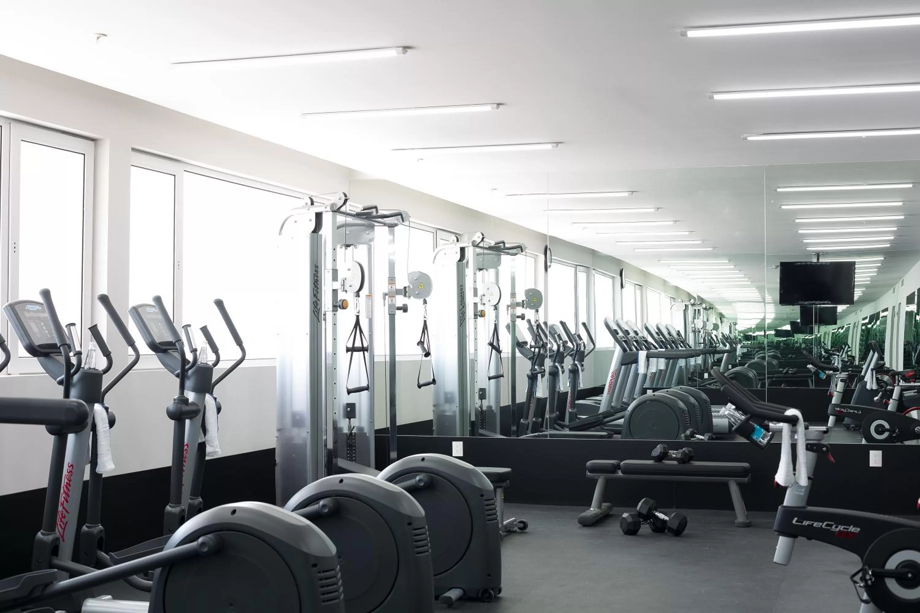 Fitness centre/facilities in Hotel Indigo Guadalajara Expo by IHG