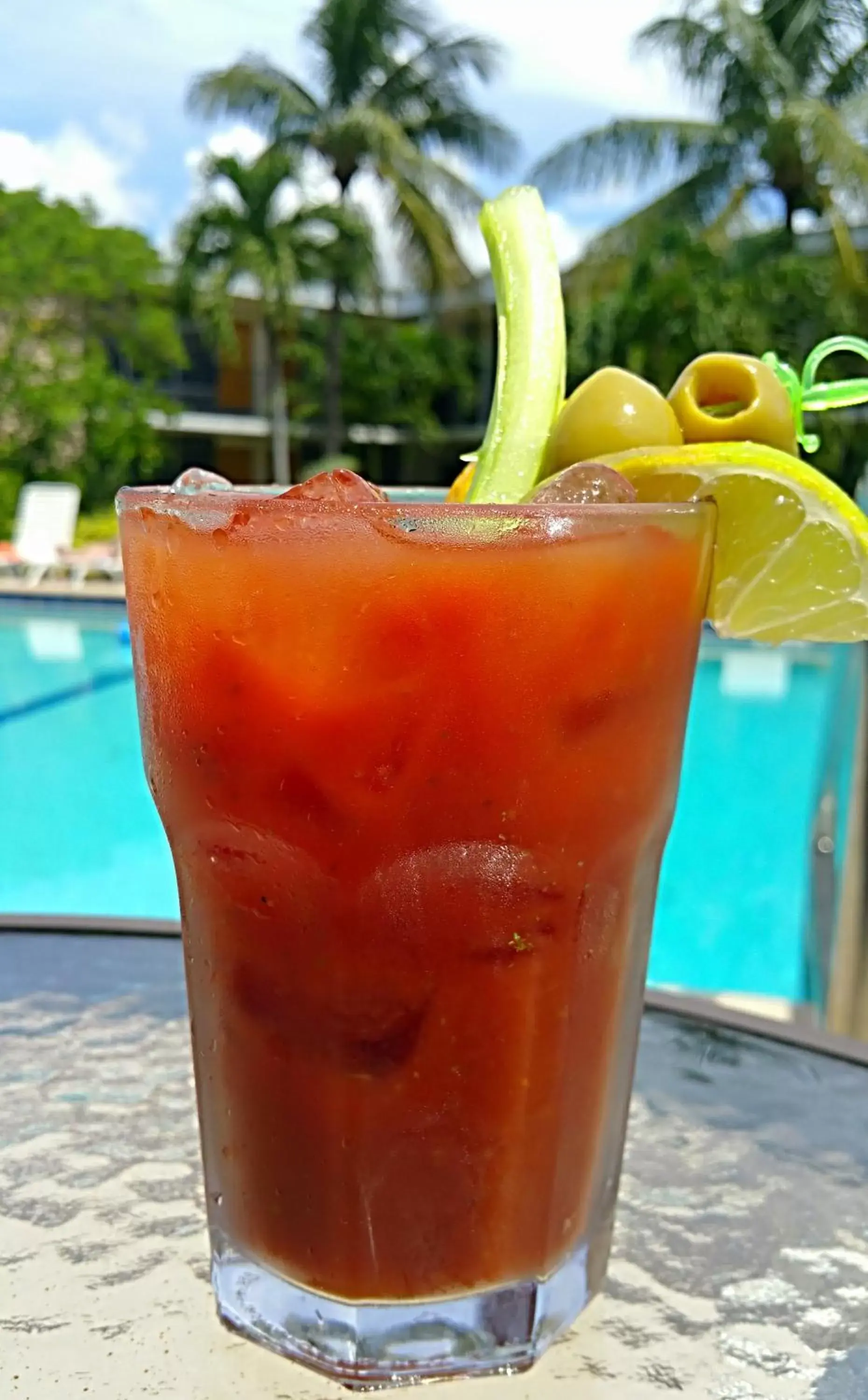 Lounge or bar in Dolphin Key Resort - Cape Coral Lounge or bar in Dolphin Key Resort - Cape Coral