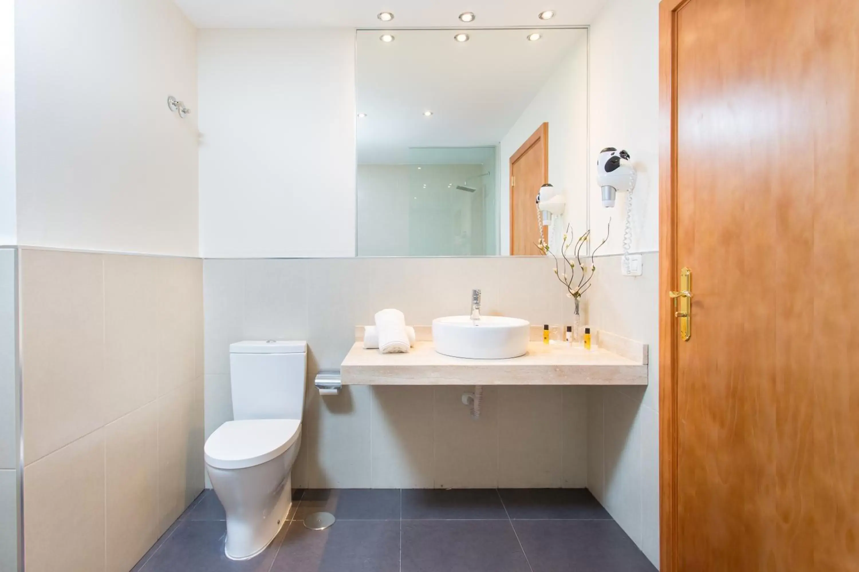 Toilet, Bathroom in Hotel Colon Rambla