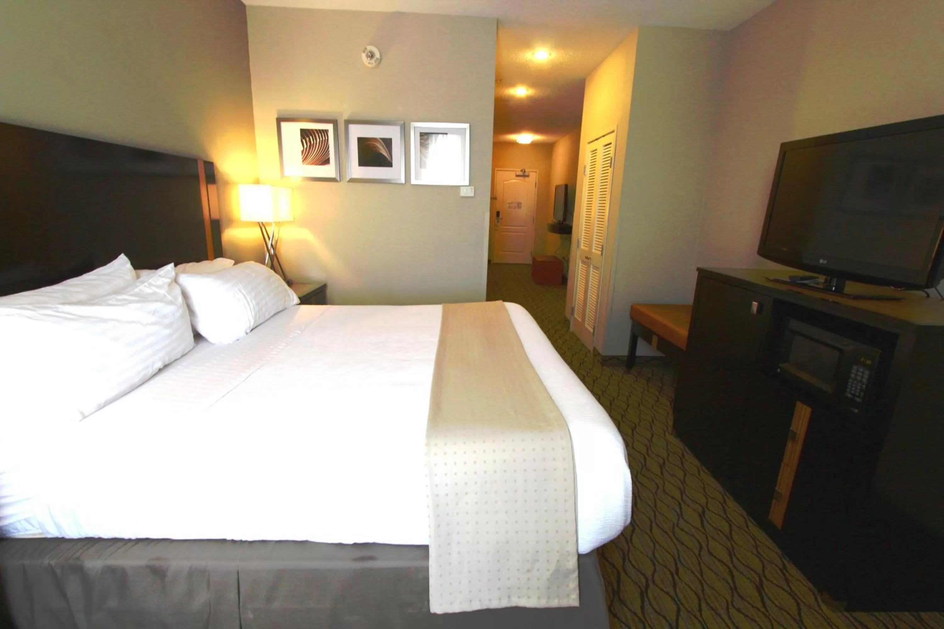 Photo of the whole room, Bed in Holiday Inn Effingham by IHG