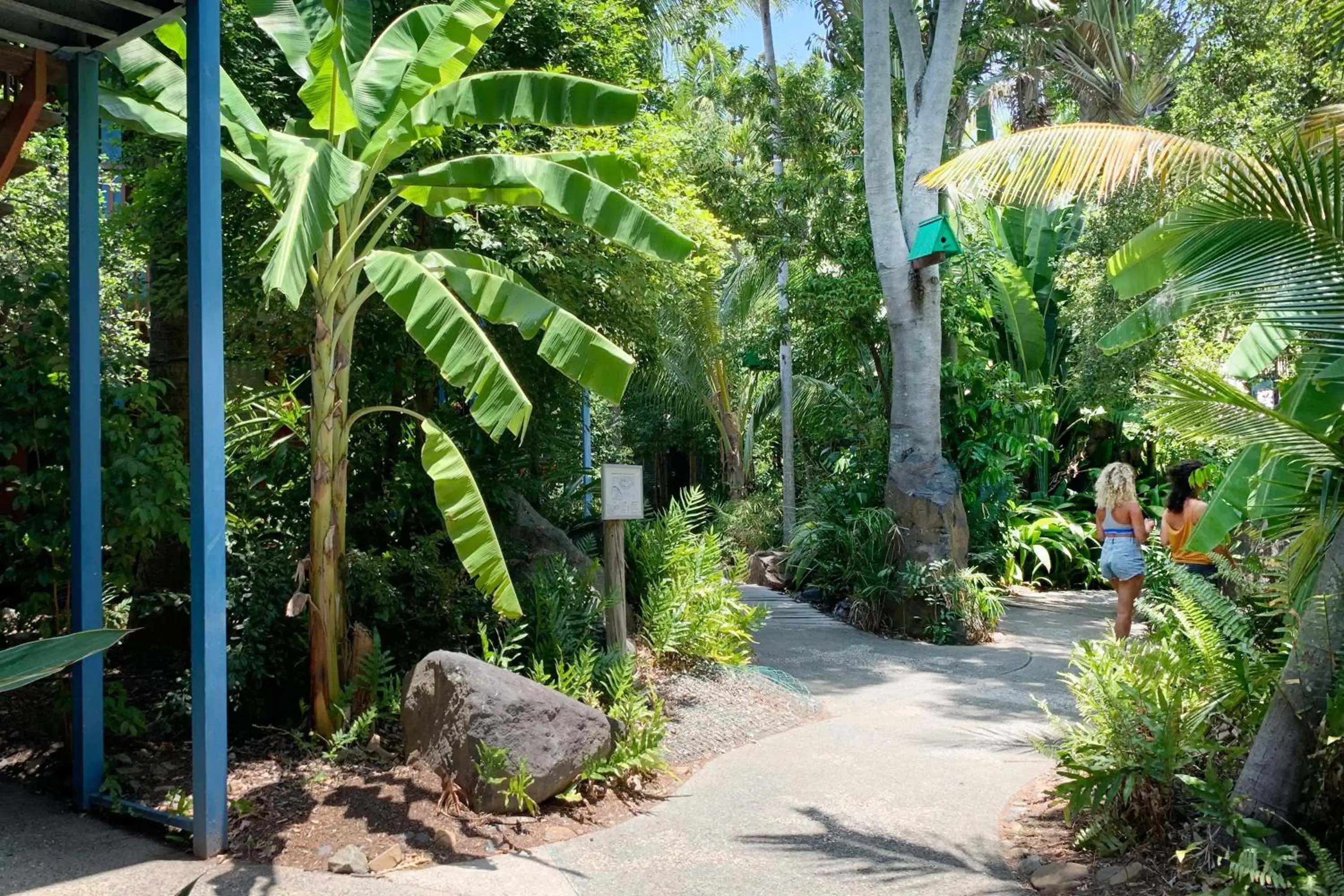 Natural landscape, Garden in Airlie Beach Magnums - Adults Only