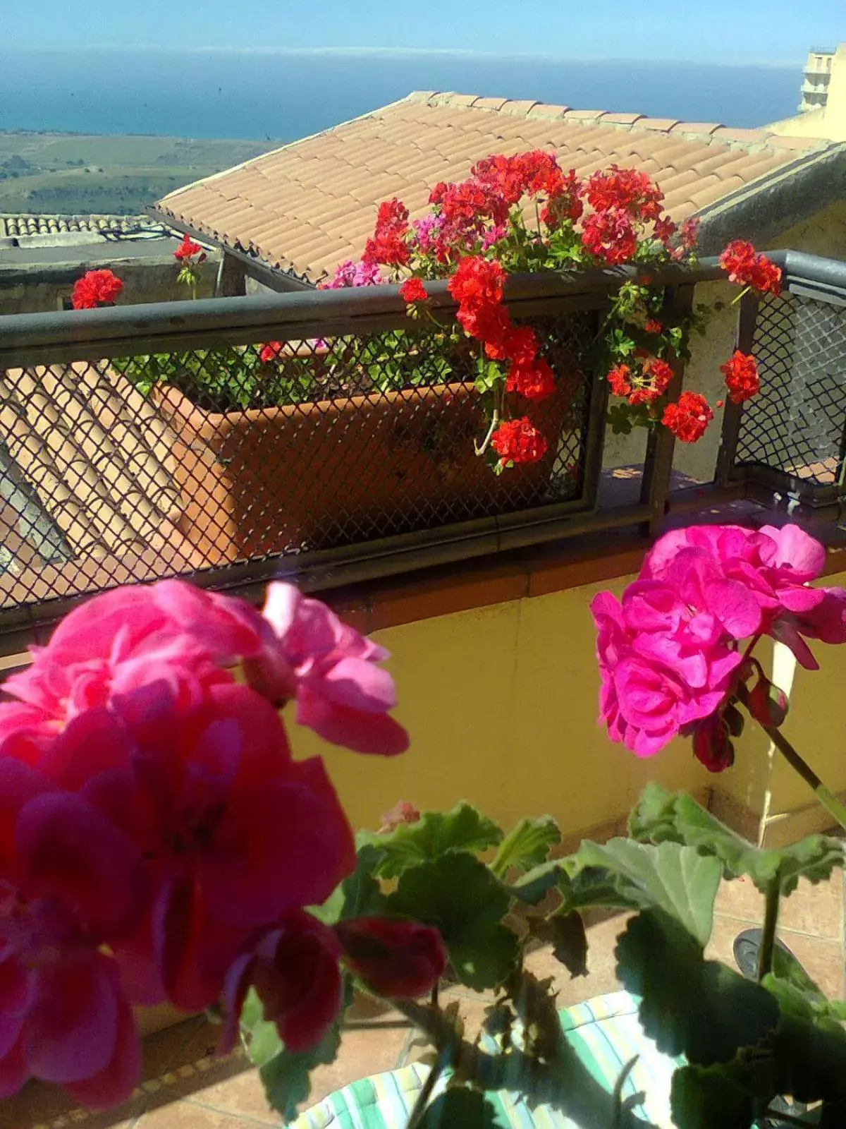 Balcony/Terrace in I Tetti di Girgenti