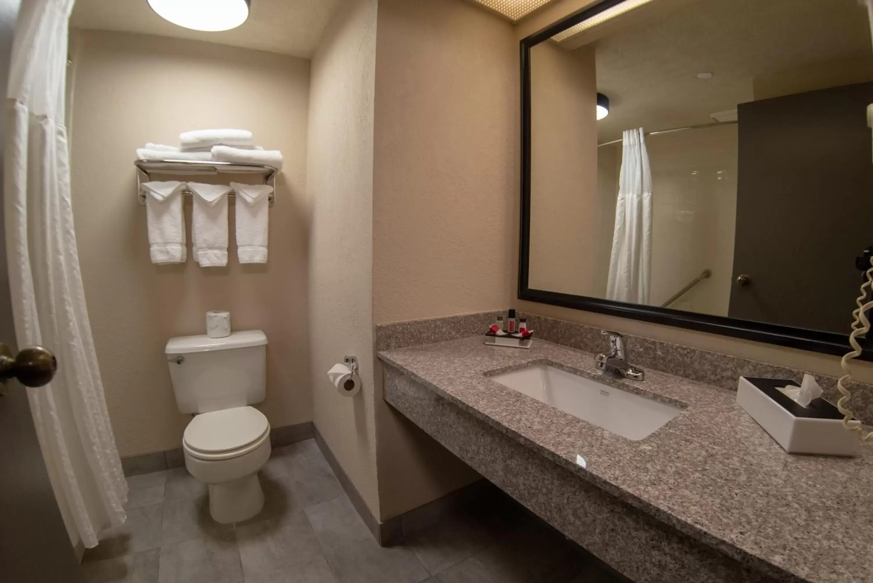 Toilet, Bathroom in Baymont by Wyndham Shakopee