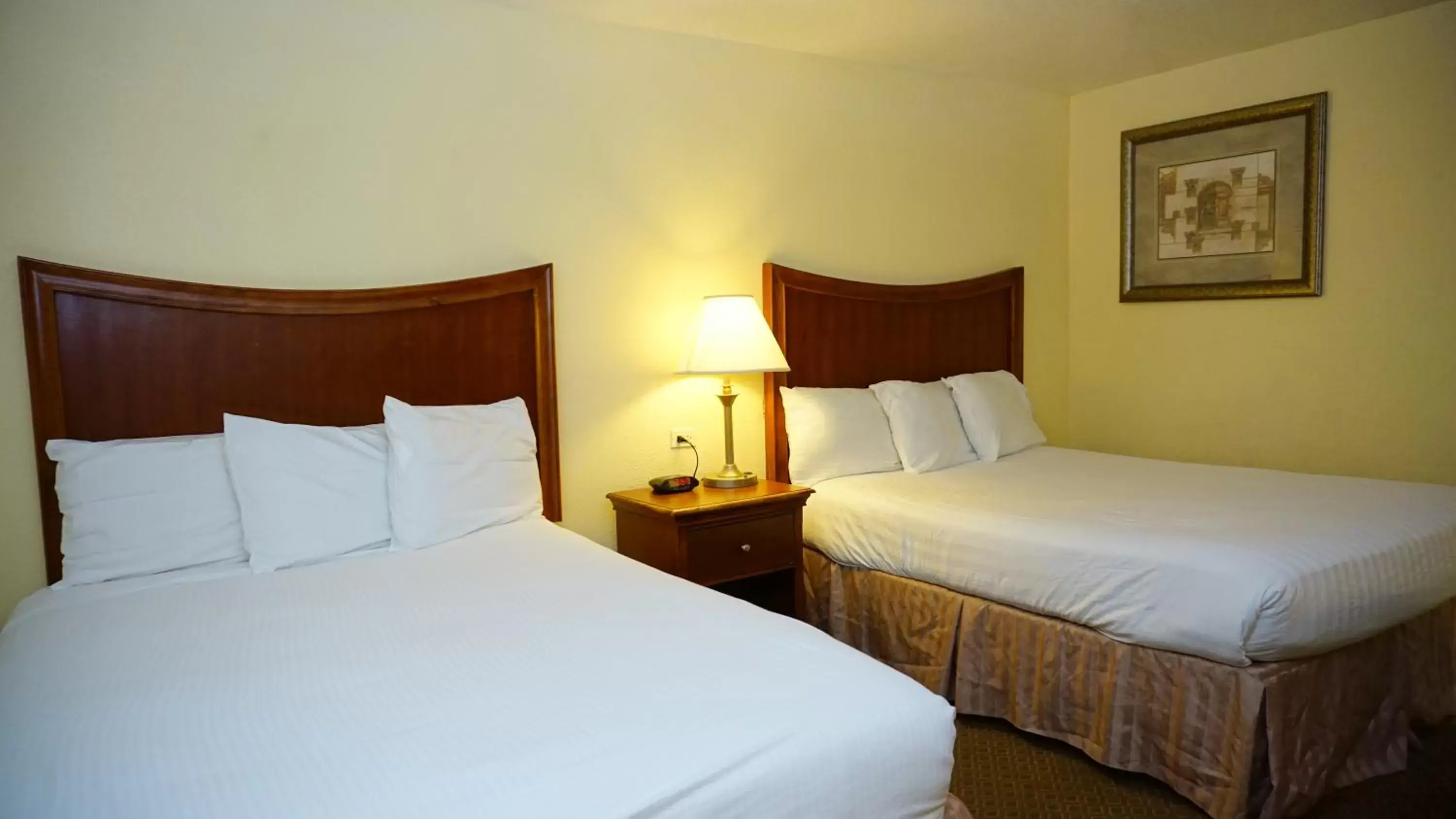 Photo of the whole room, Bed in Baymont by Wyndham Arlington At Six Flags Dr