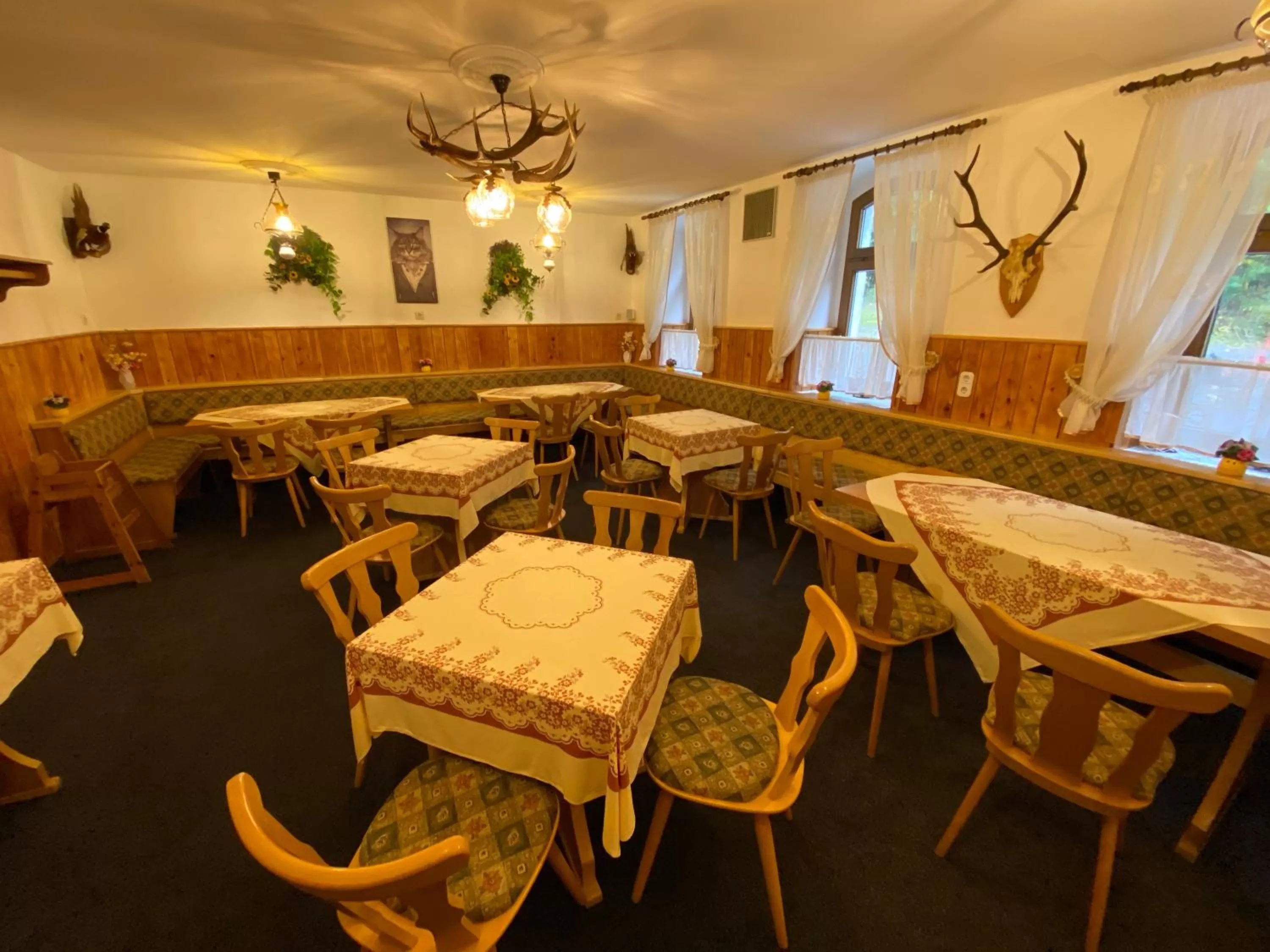 Restaurant/places to eat in Hotel Bielatal