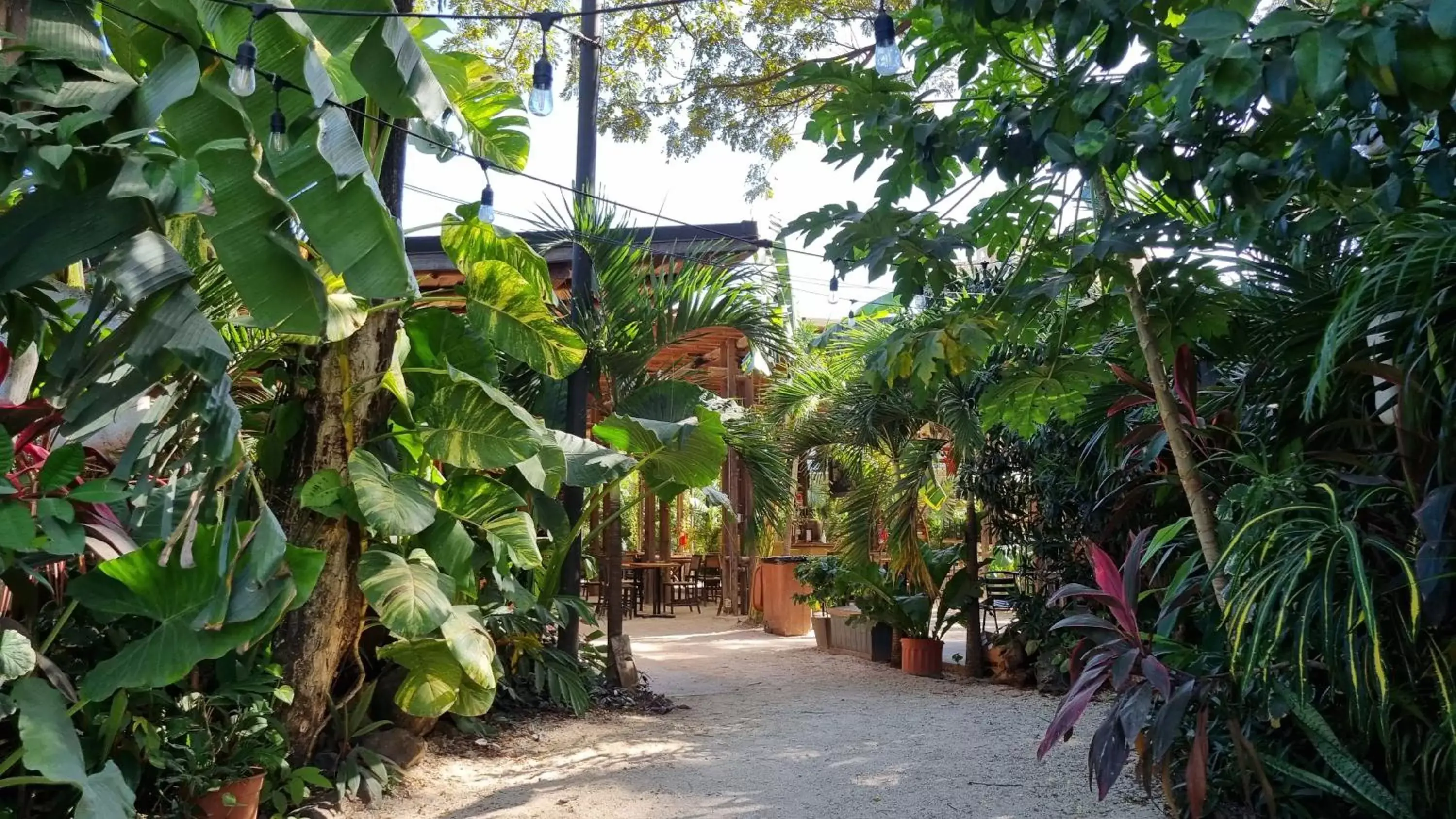 Restaurant/places to eat, Garden in Zulu Surf Hotel Tamarindo
