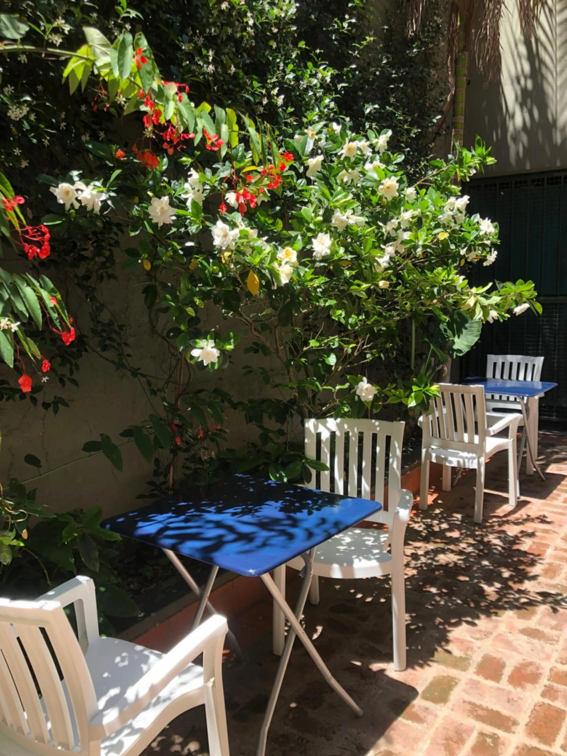 Patio in Sissi Haz Hotel