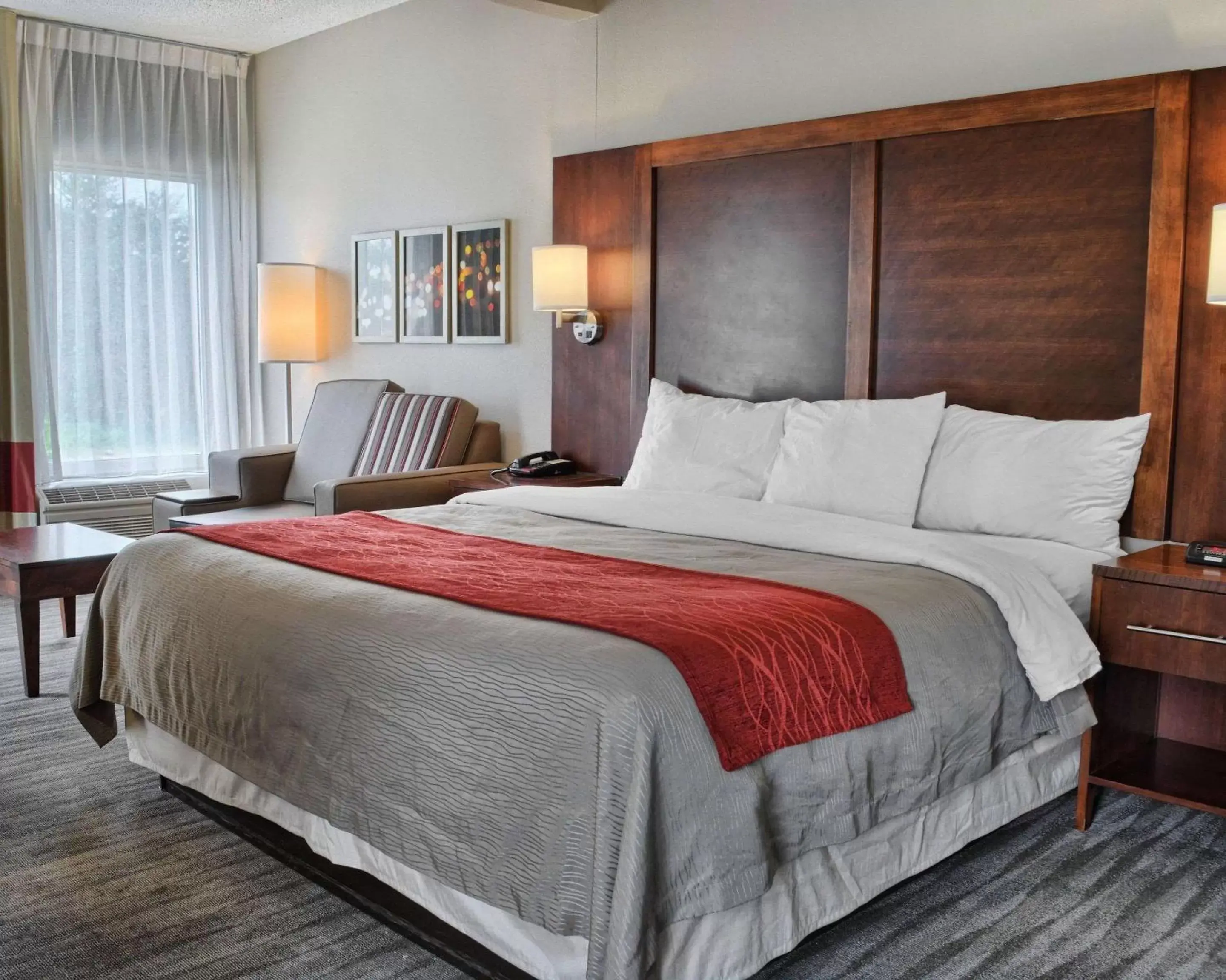 King Suite - Non-Smoking in Comfort Inn Ruther Glen near Kings Dominion King Suite - Non-Smoking in Comfort Inn Ruther Glen near Kings Dominion