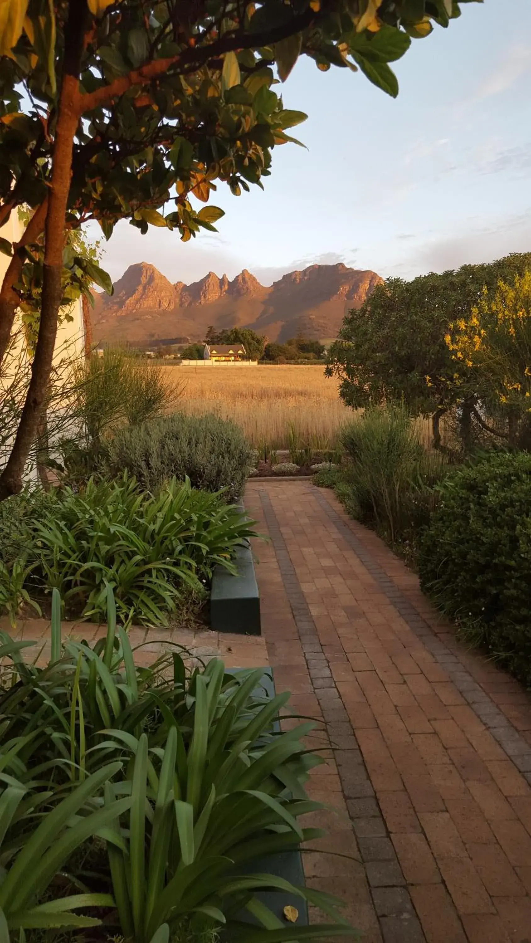 Garden in Eikendal Lodge