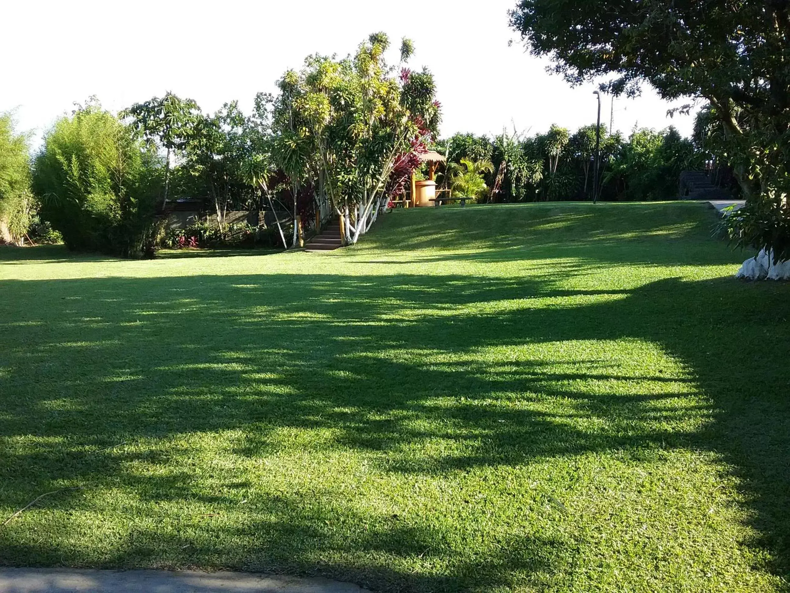 Garden in Hotel Cibeles Resort