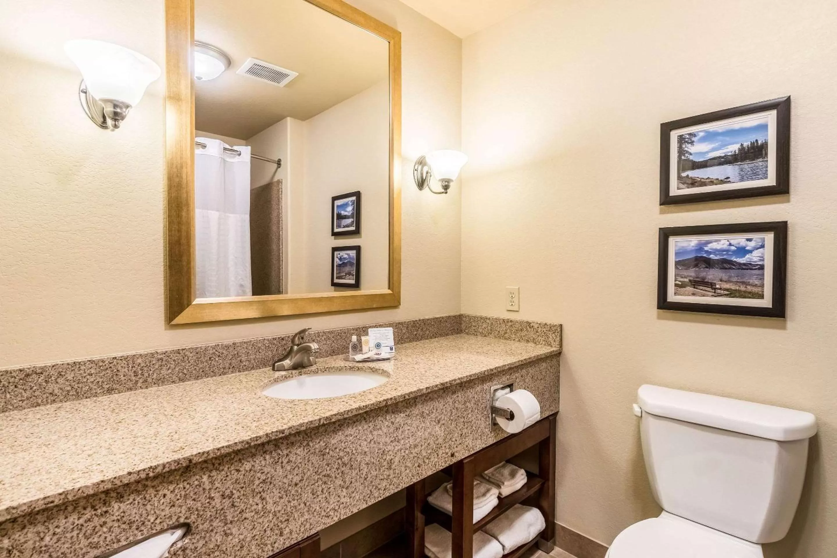Bathroom in Comfort Inn & Suites Rifle