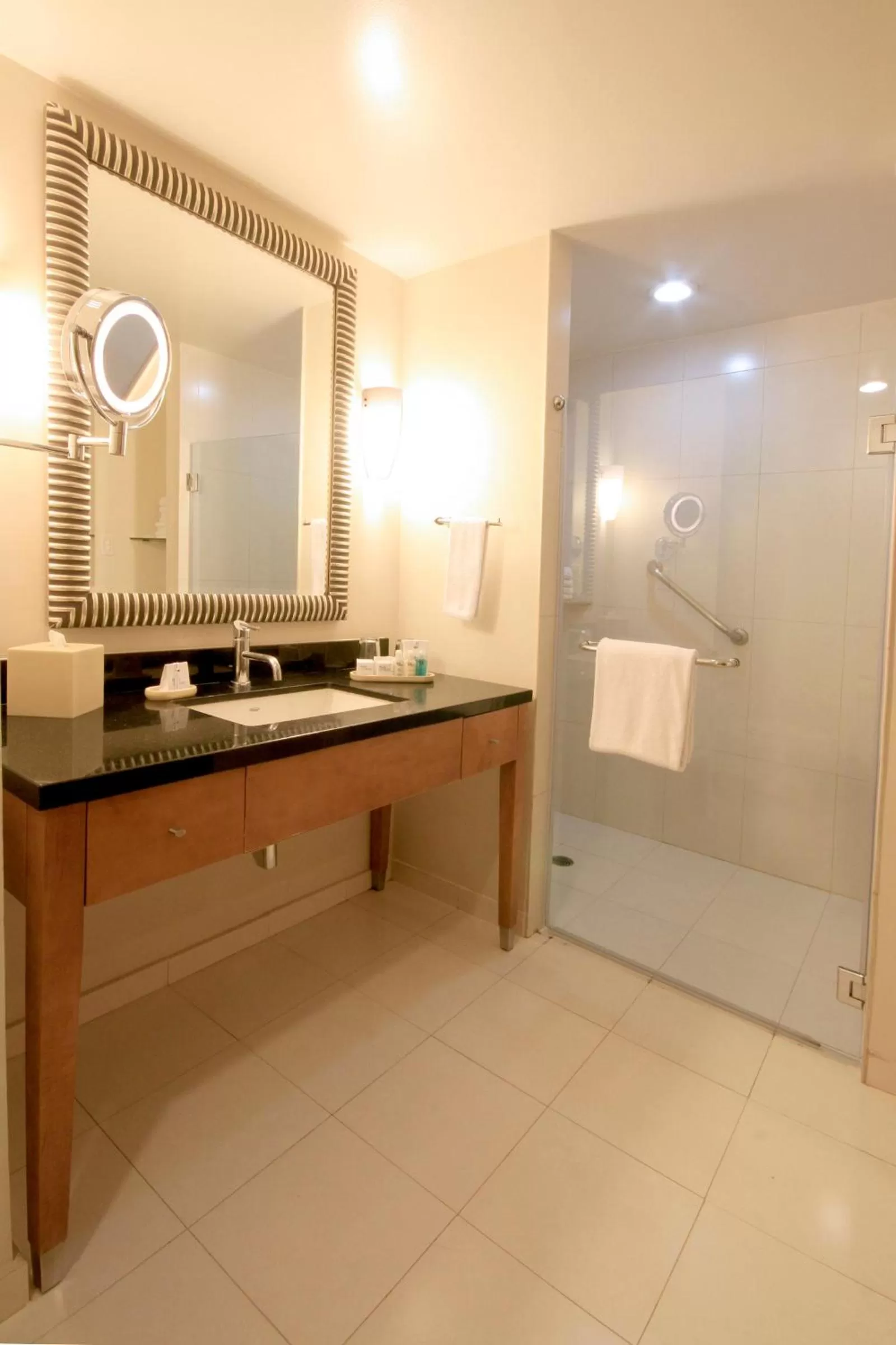 Bathroom in Crowne Plaza Monterrey Aeropuerto by IHG